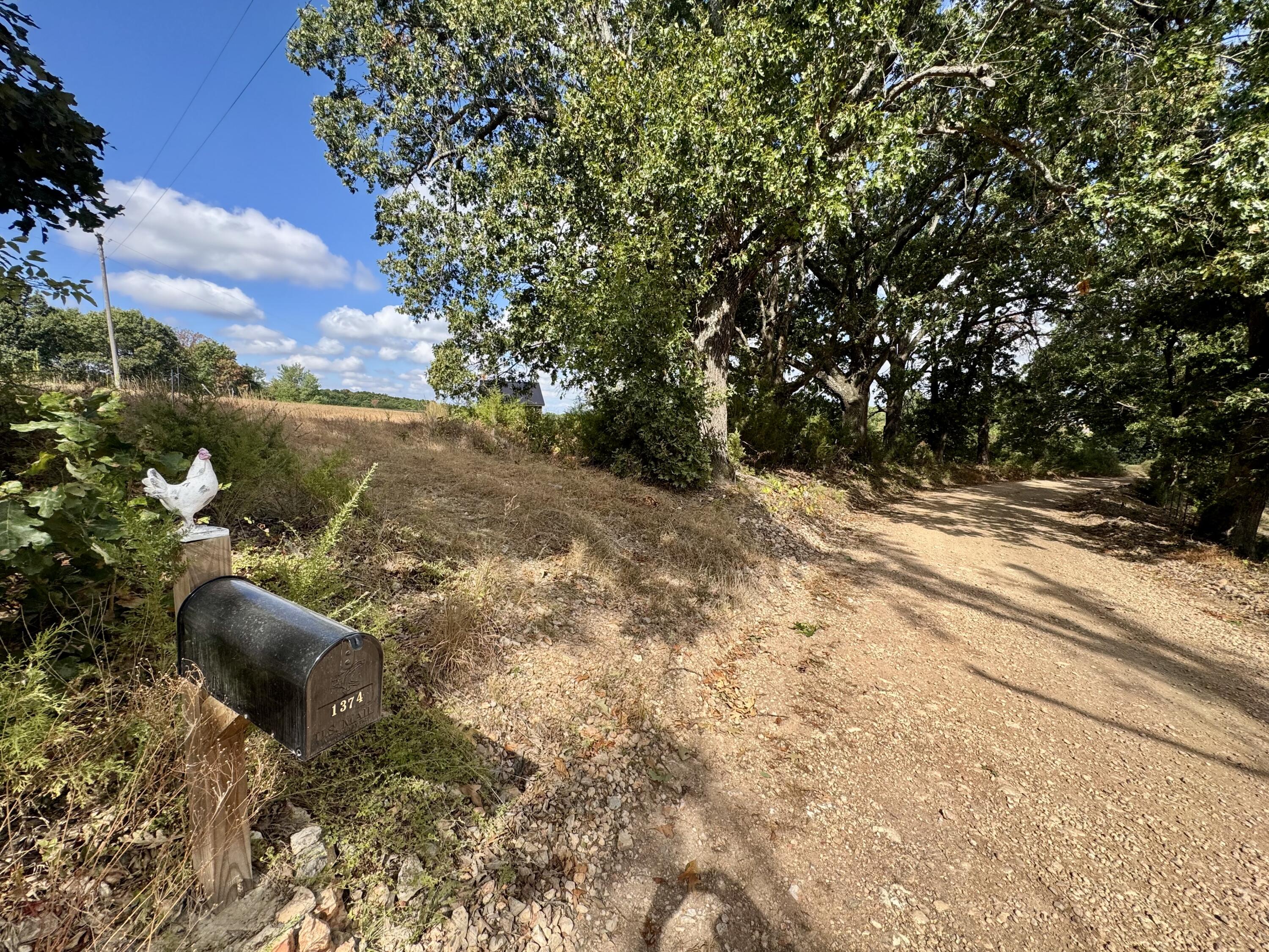 1374 Scotch Hollow Road Property Photo 4