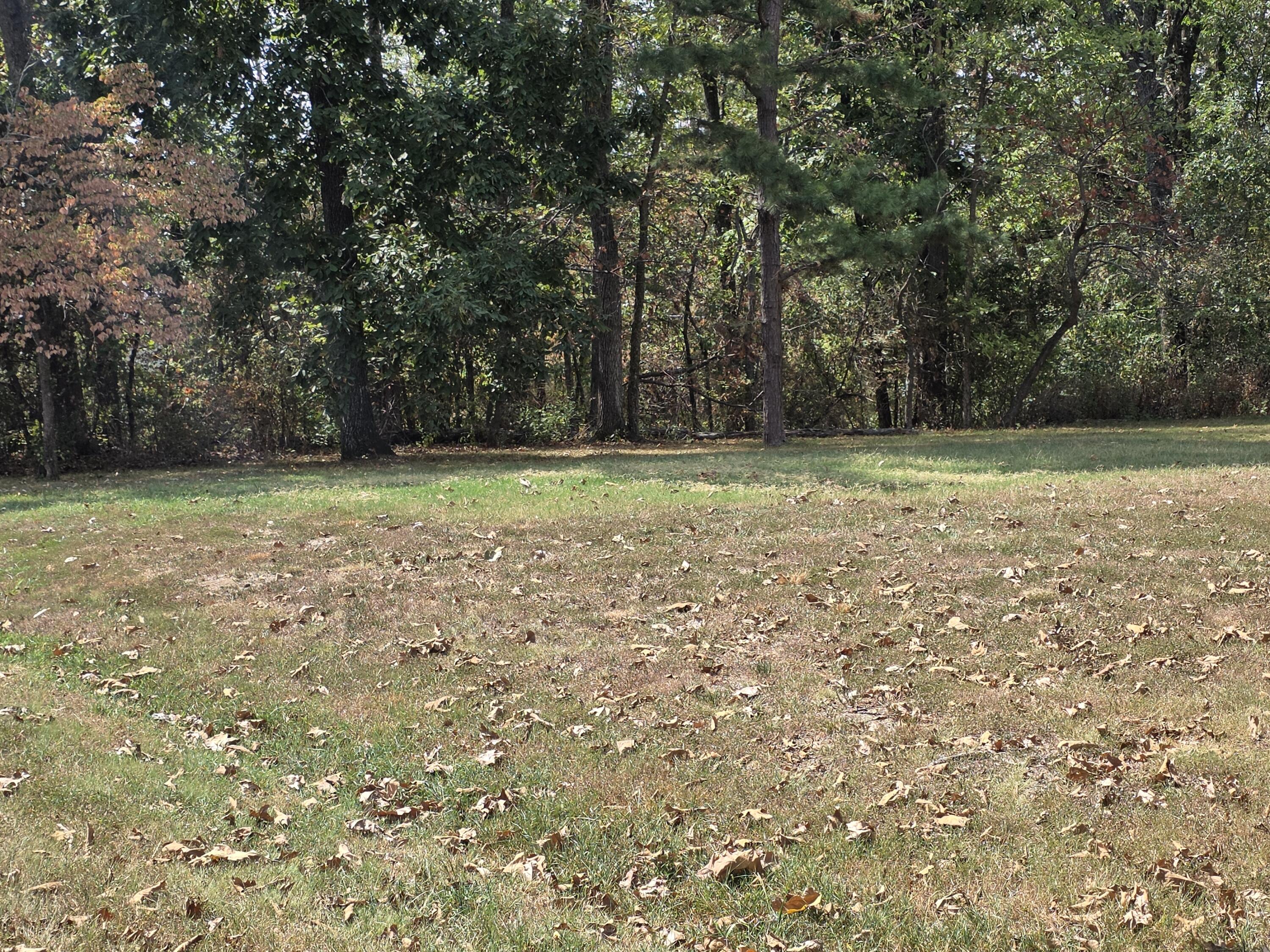 1319 Briar Wood Drive Property Photo 31