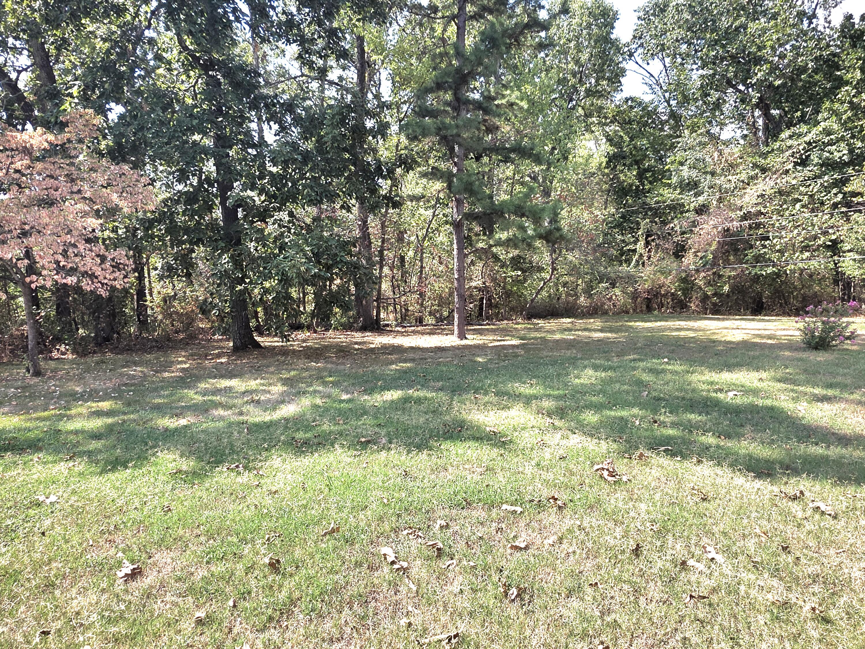 1319 Briar Wood Drive Property Photo 33