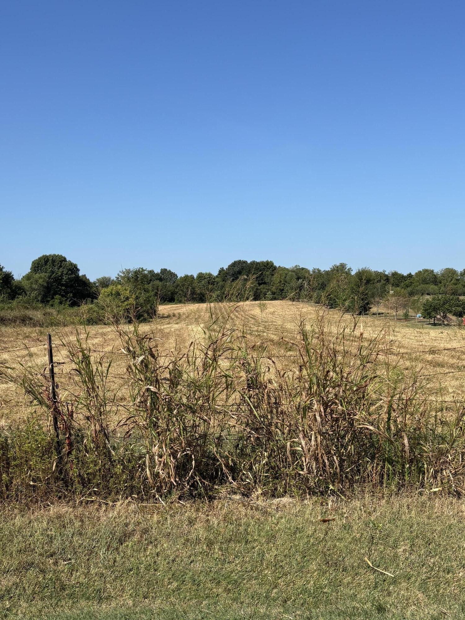 60334067 Property Photo 1