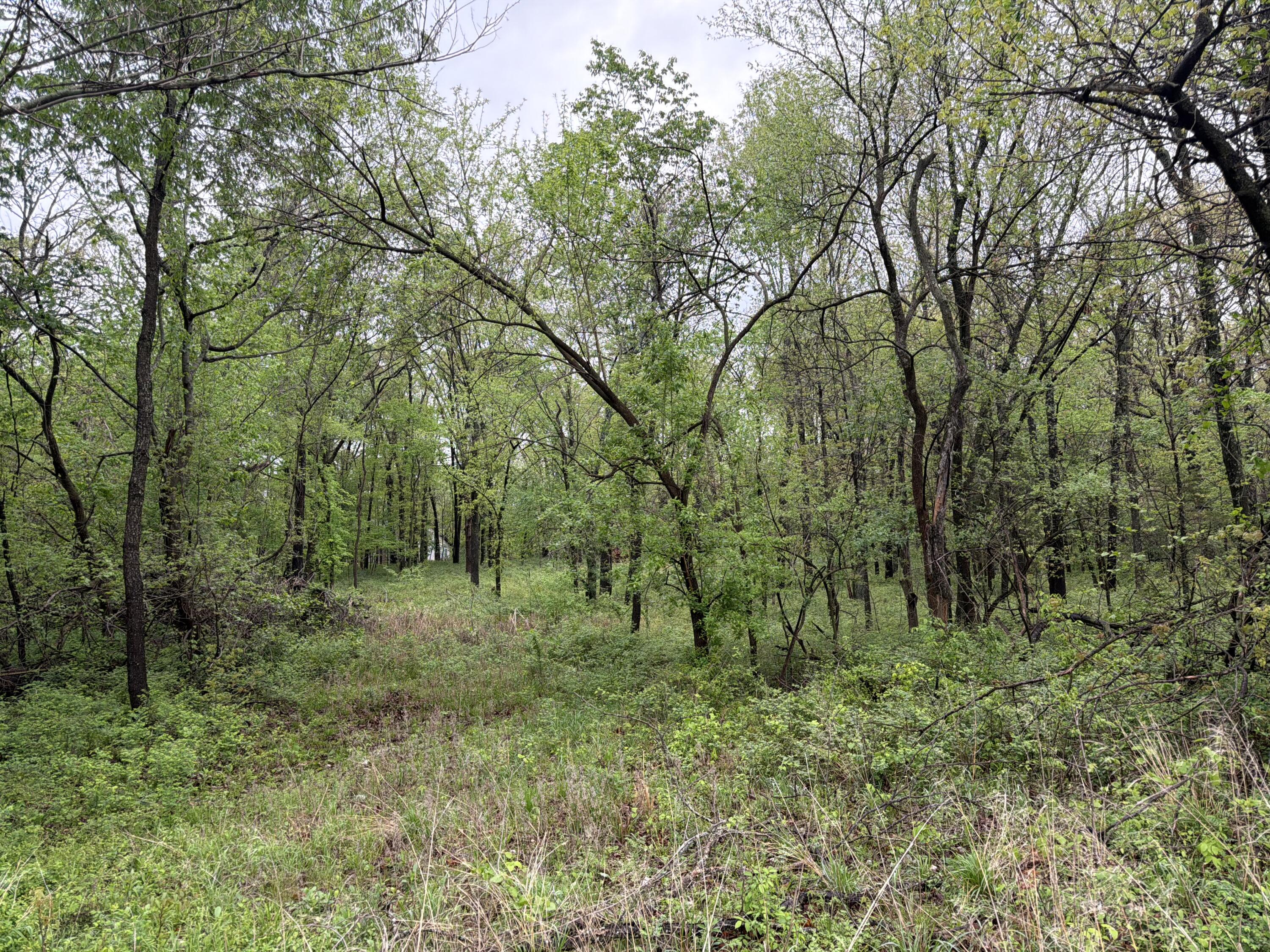 Tract 2 Ivy Road 10903200000018001 Property Photo 1