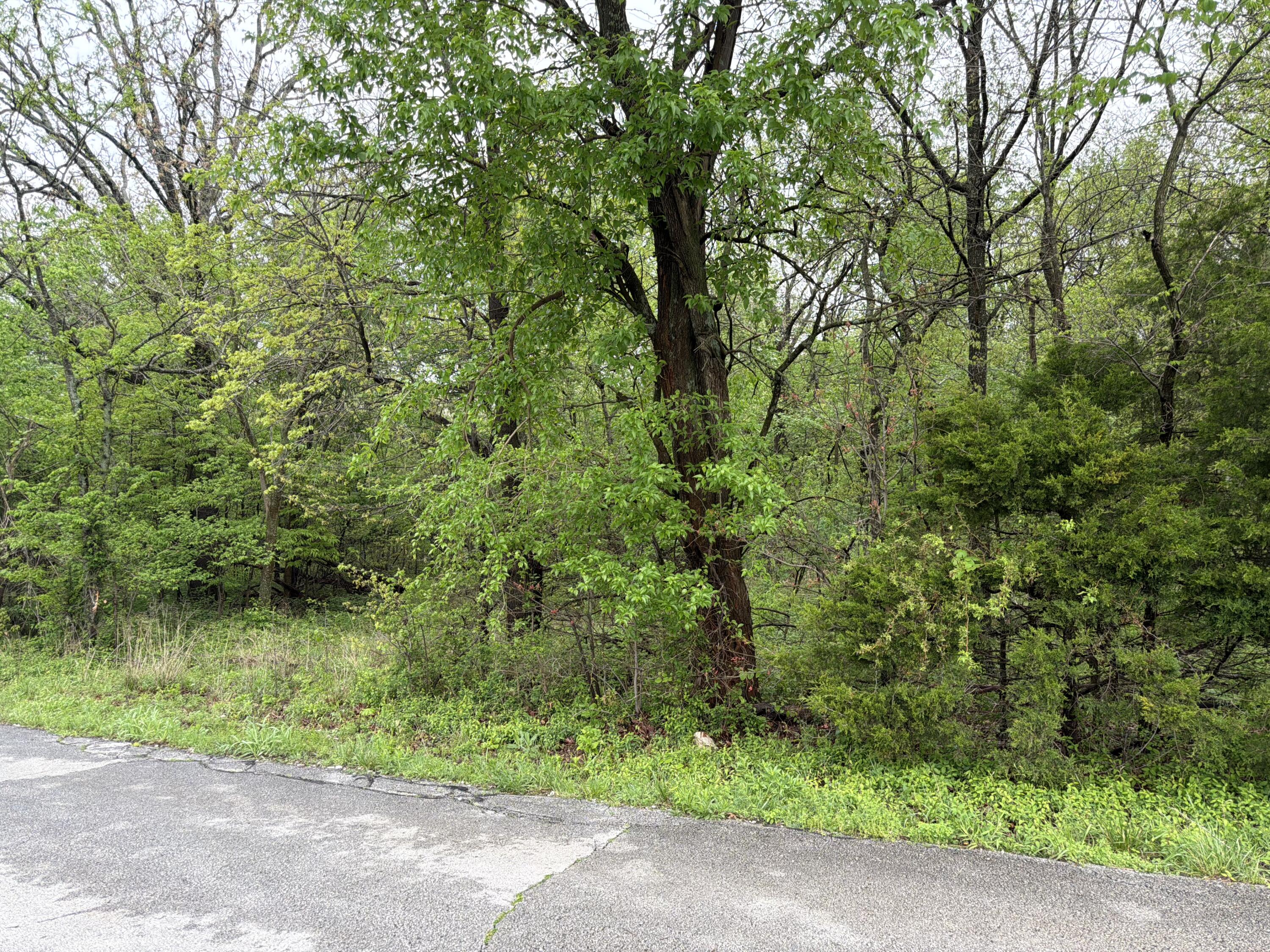 Tract 2 Ivy Road 10903200000018001 Property Photo 2