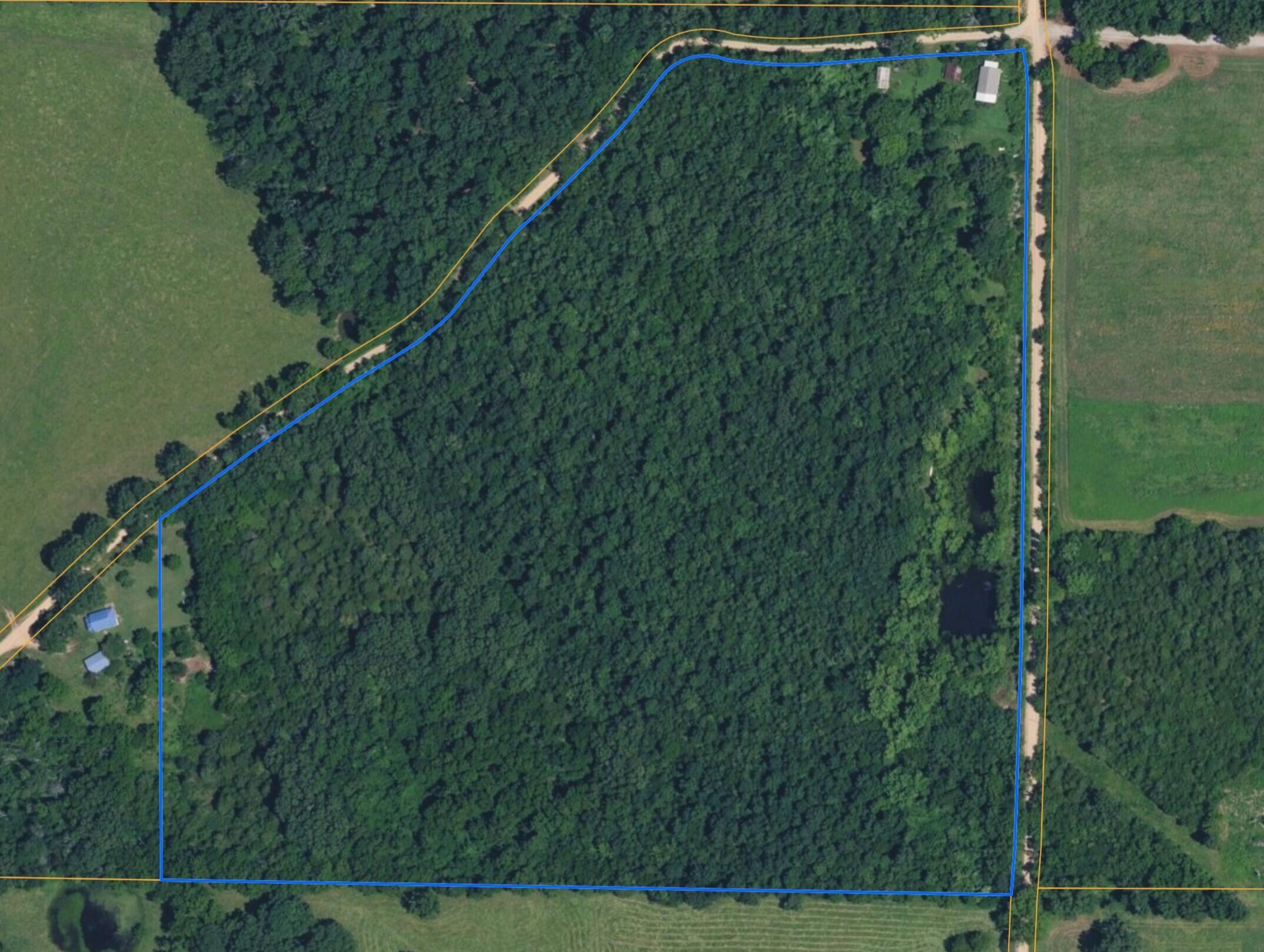 960 County Road 412 Property Photo 2