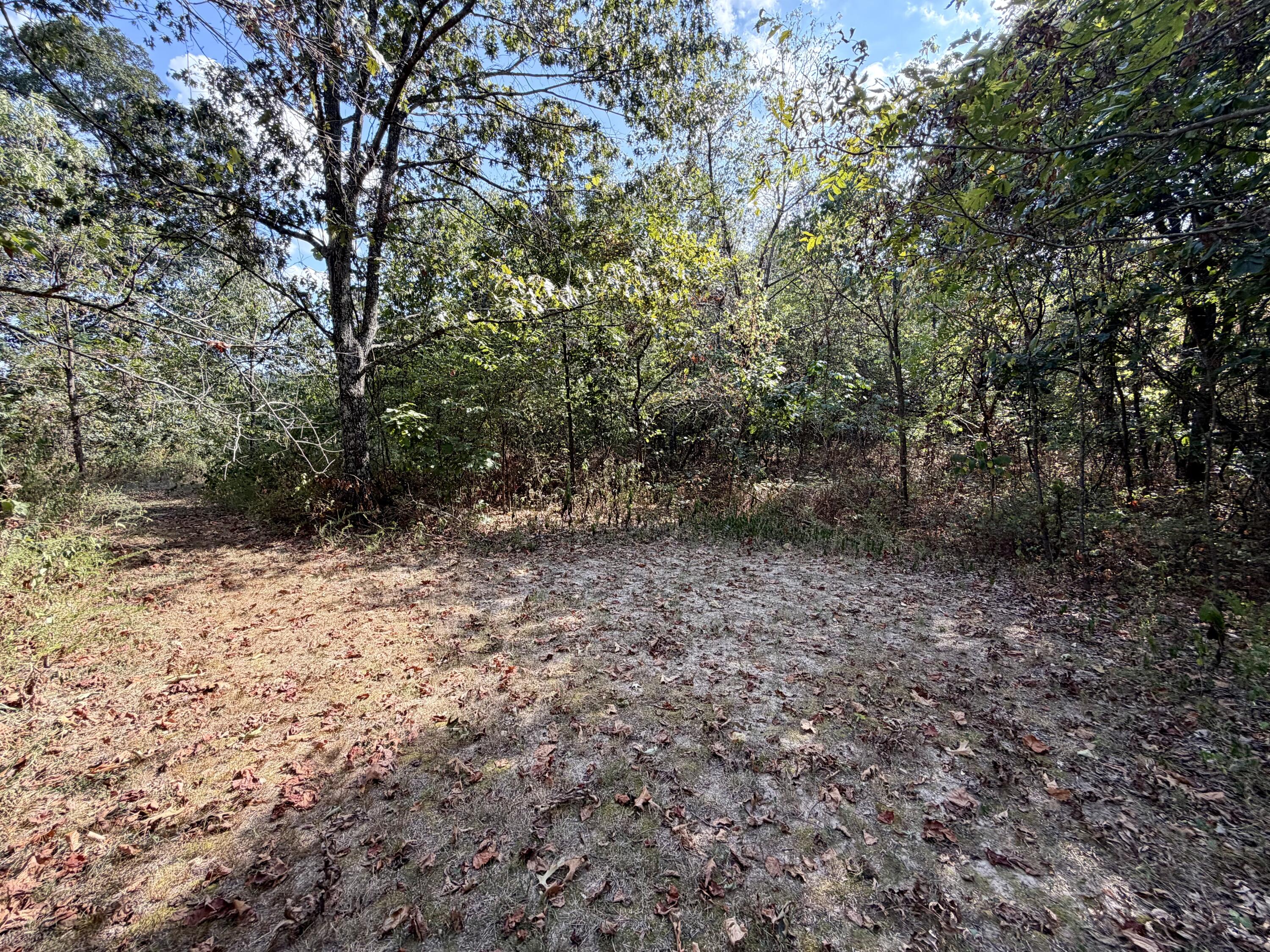 960 County Road 412 Property Photo 23