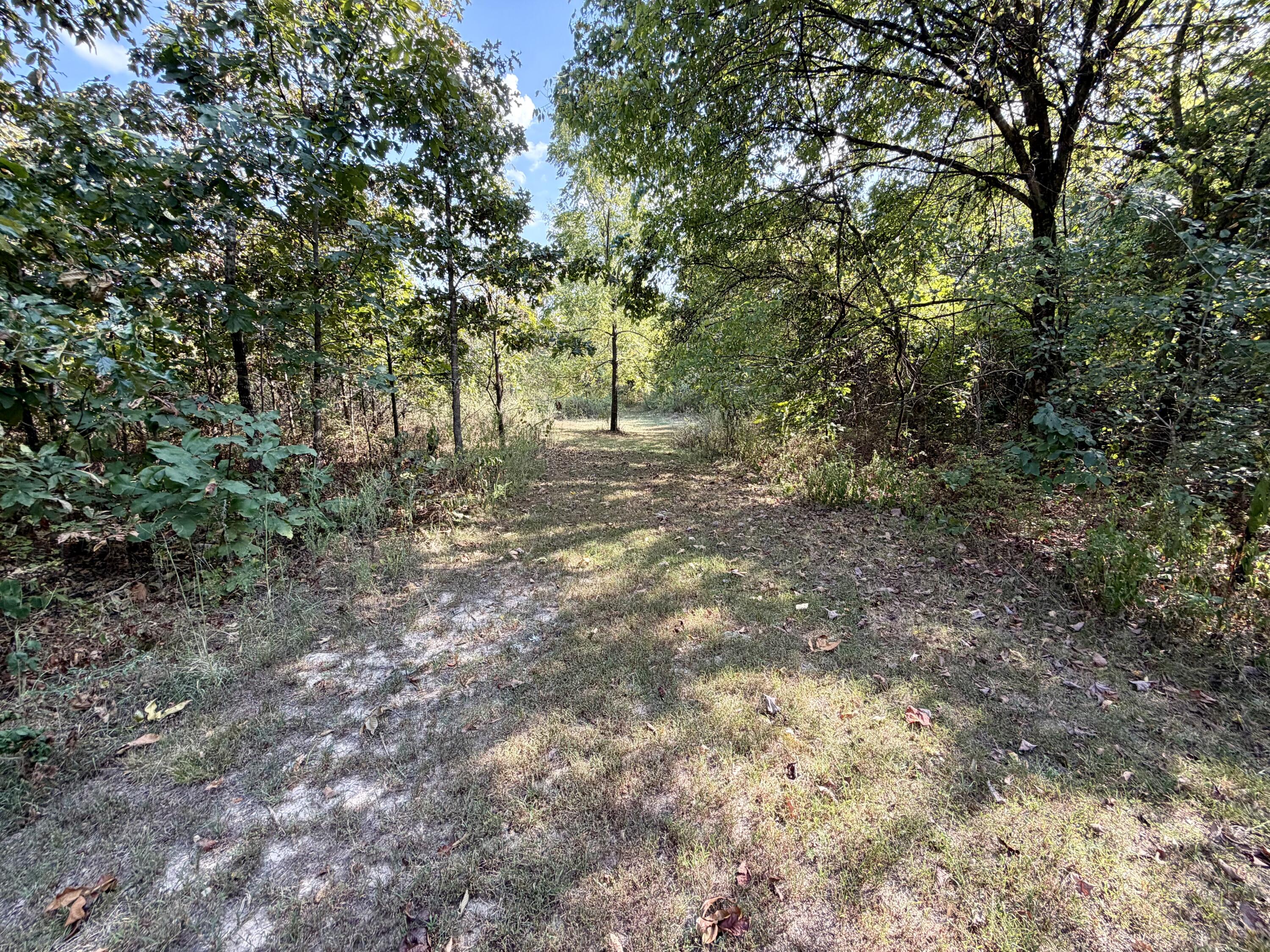 960 County Road 412 Property Photo 24