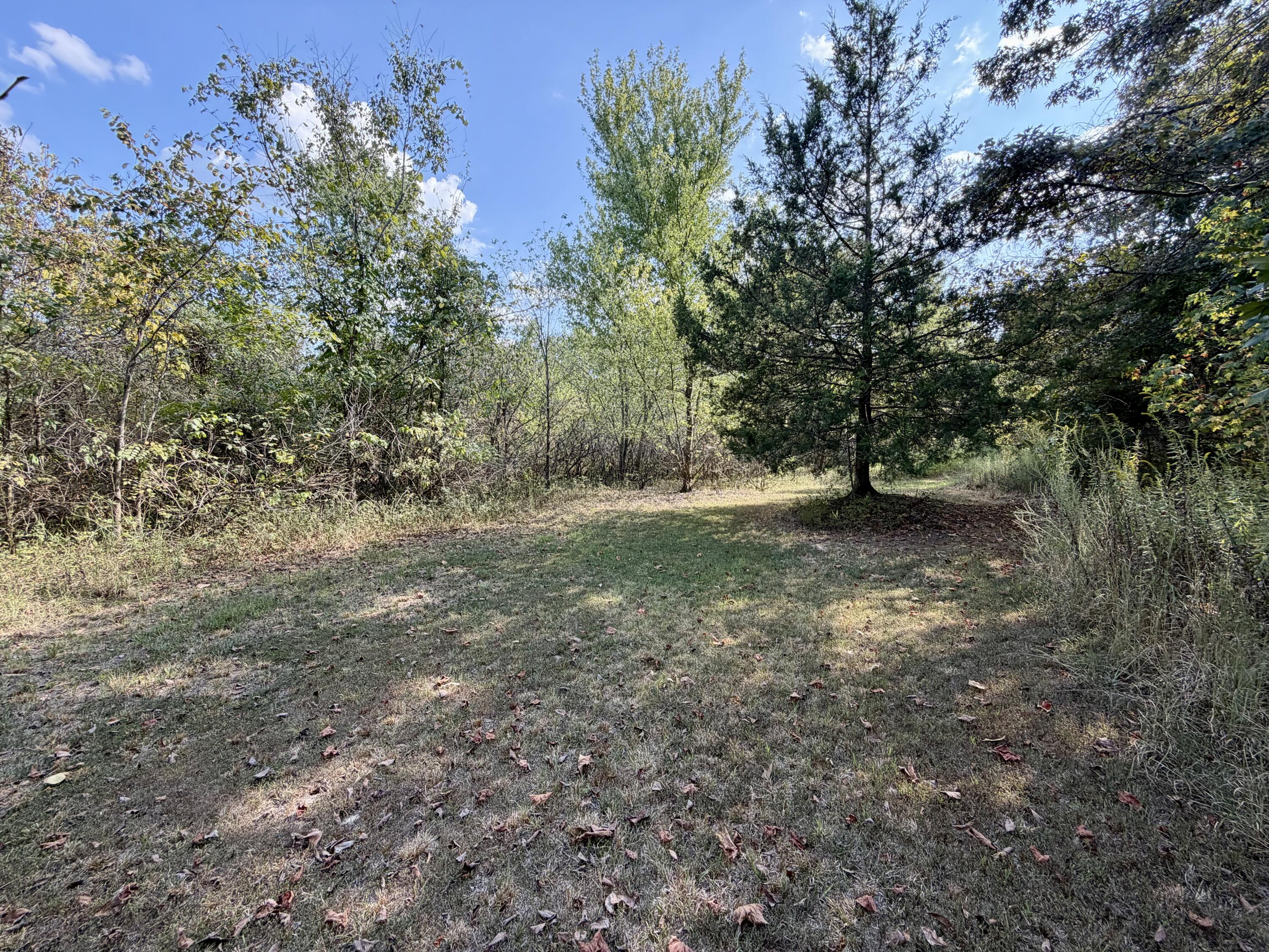 960 County Road 412 Property Photo 25