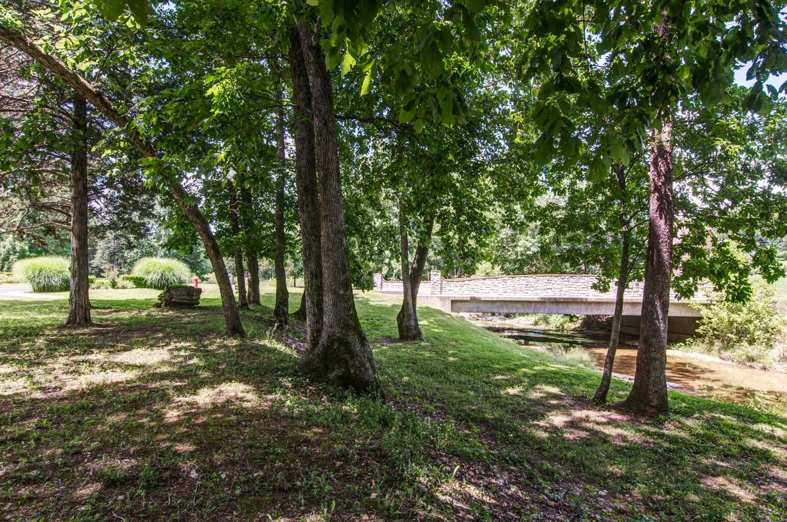 149 Appaloosa Trail Property Photo 4