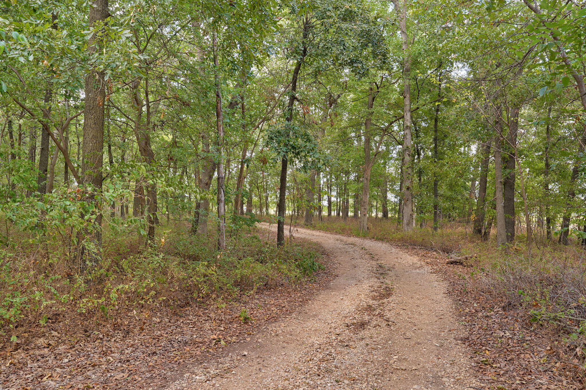 15252 Hwy 97 Property Photo 39