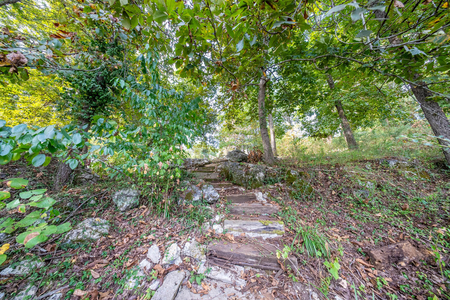 168 Riverview Drive Property Photo 38