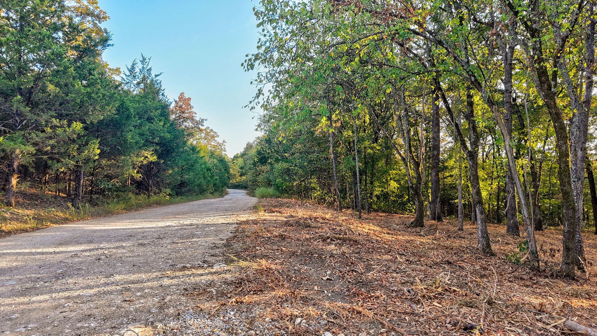00 Pack Lane Property Photo 12
