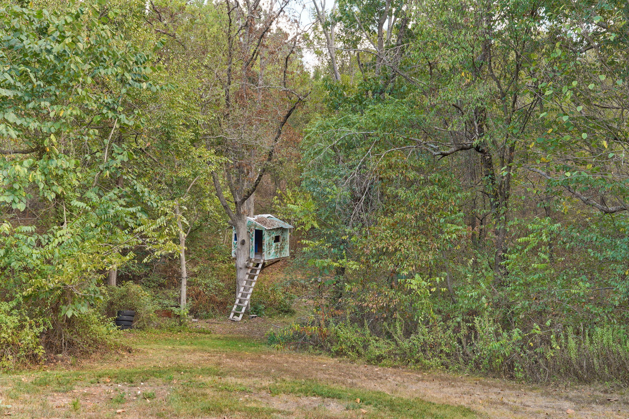 3127 State Highway A Property Photo 32