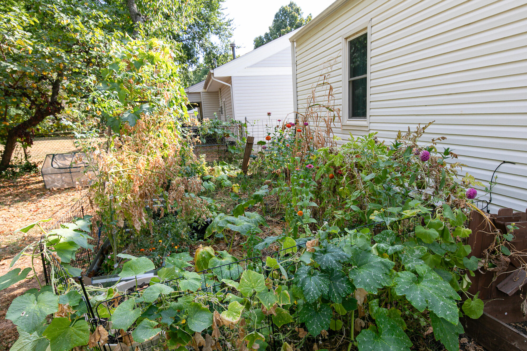 1810 South Thelma Avenue Property Photo 24