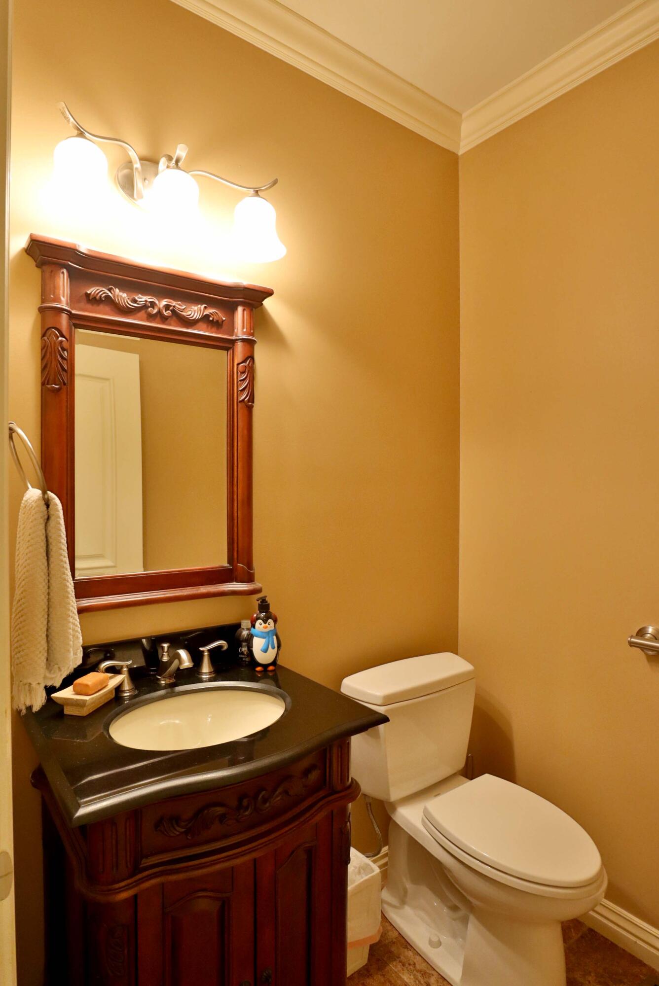 905 West Rufina Court Property Photo 64