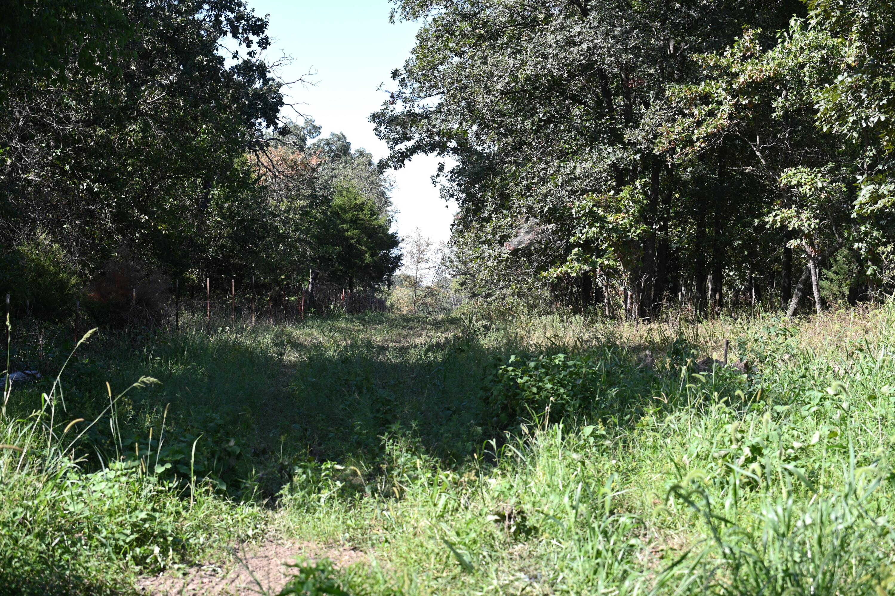Tbd County Road Nn Property Photo 8