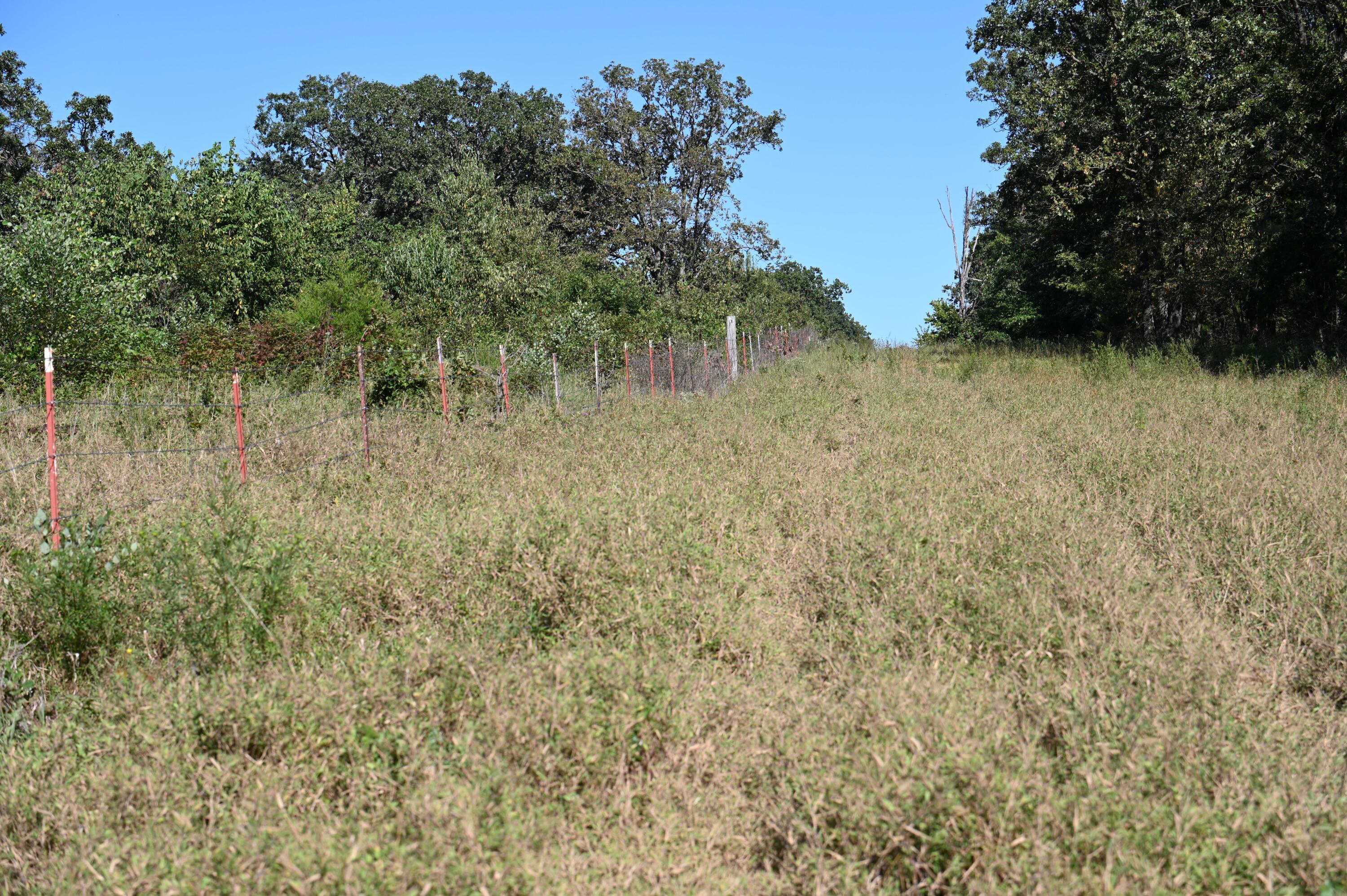 Tbd County Road Nn Property Photo 10