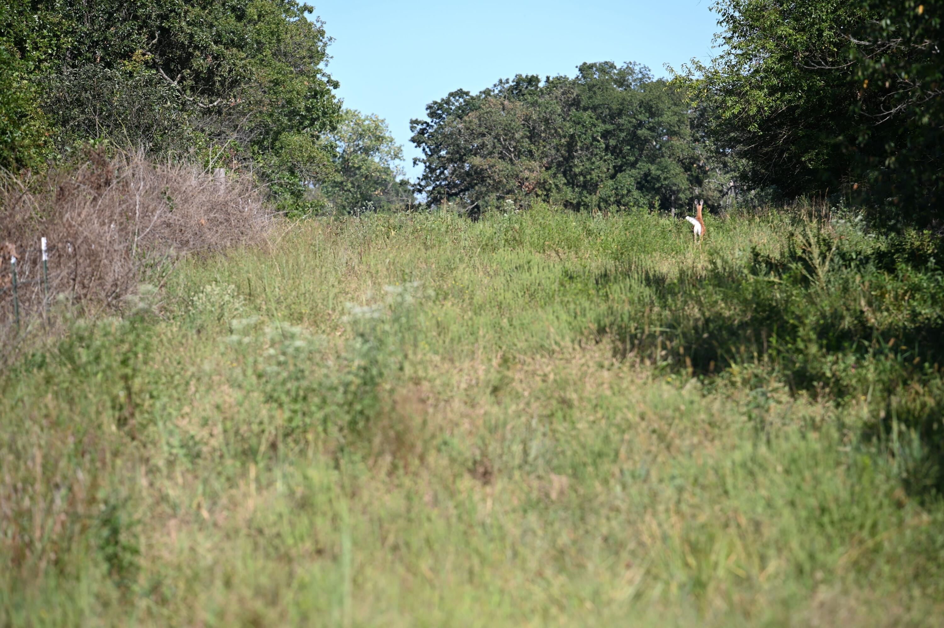 Tbd County Road Nn Property Photo 11