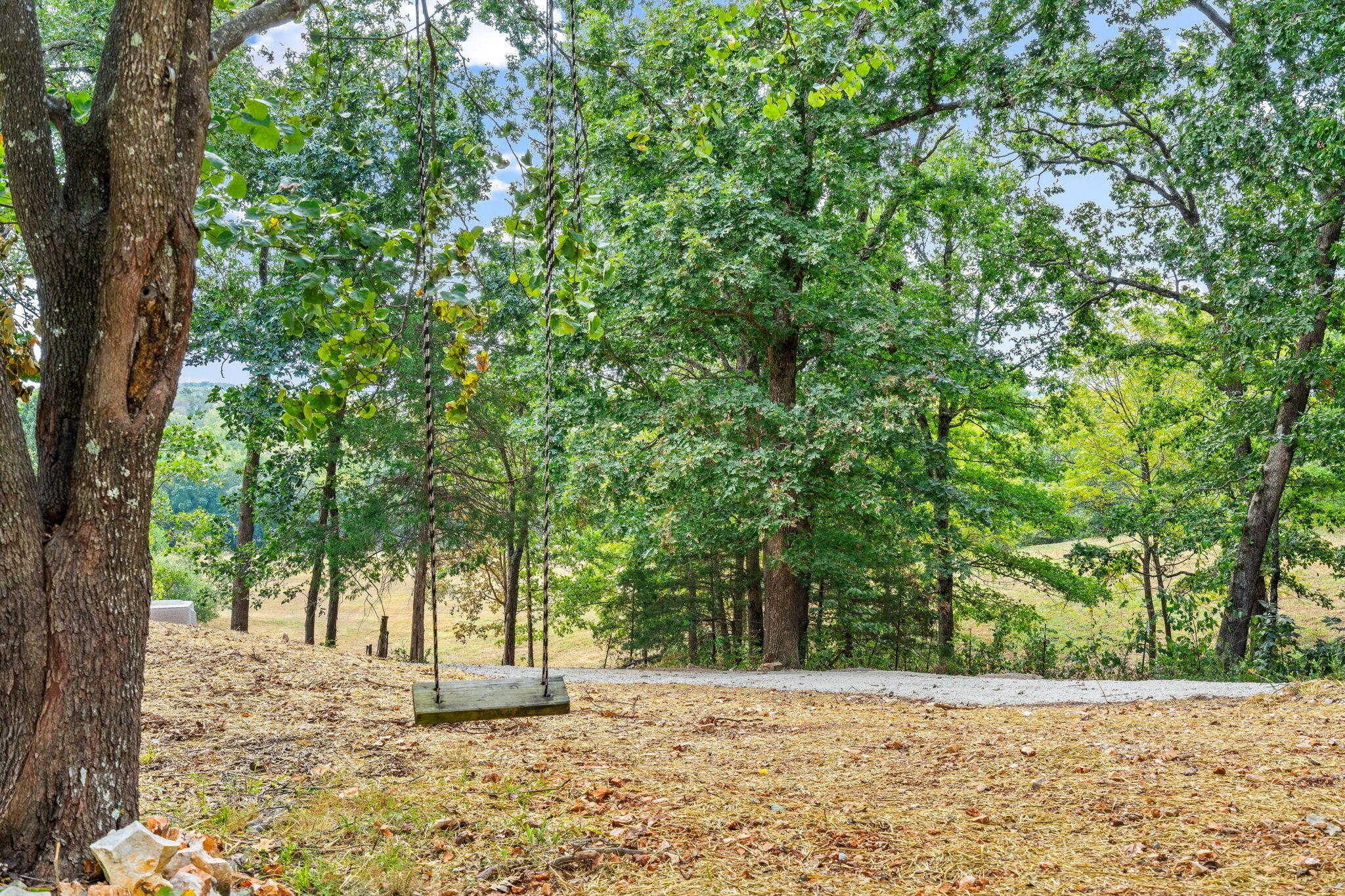 2890 Panther Creek Road Property Photo 70