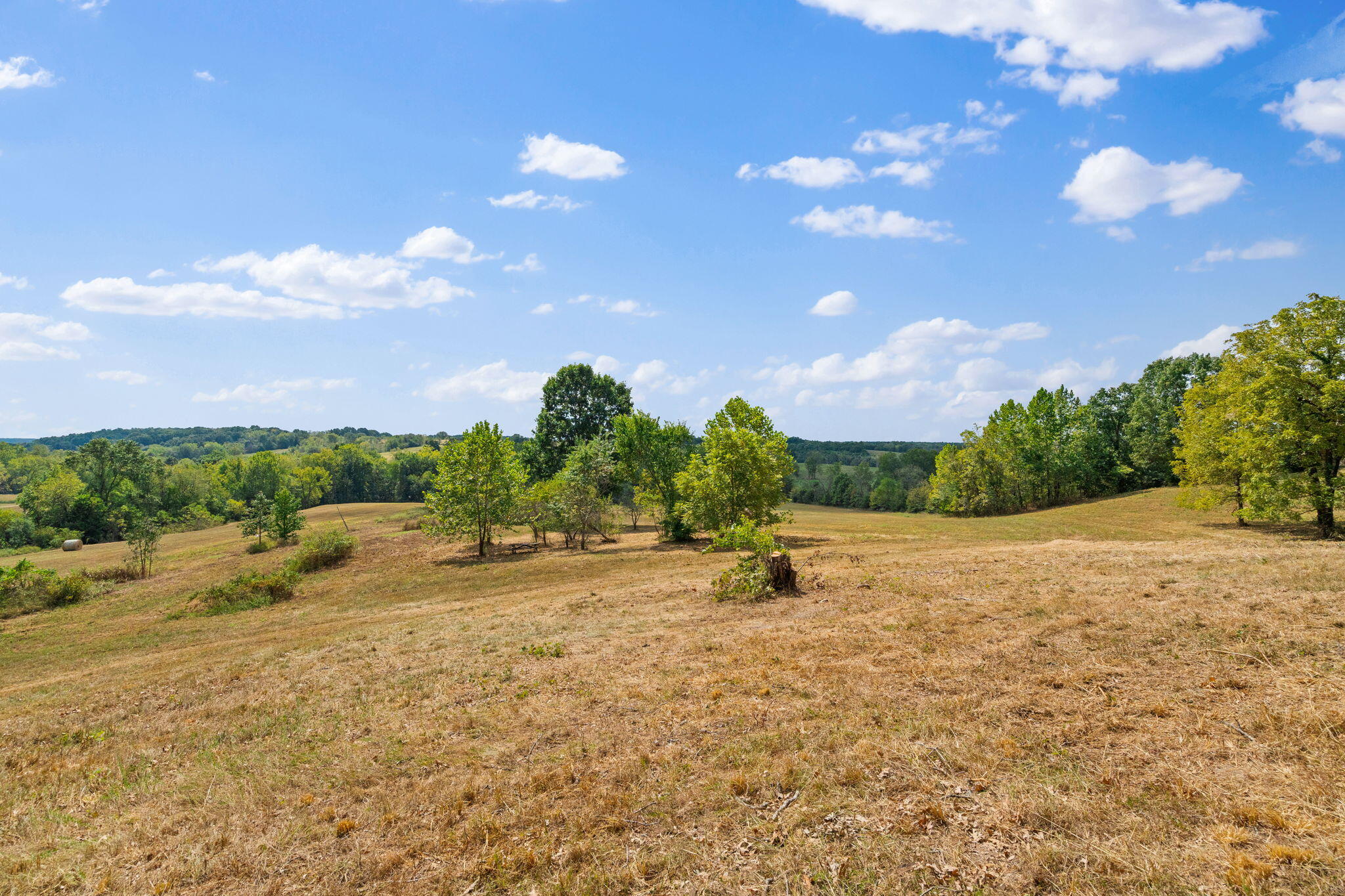 2890 Panther Creek Road Property Photo 76