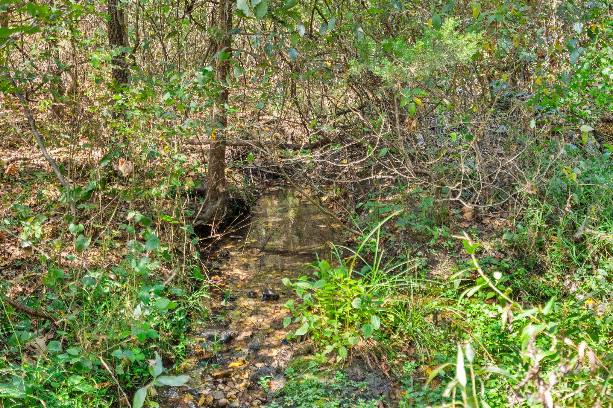 2890 Panther Creek Road Property Photo 81