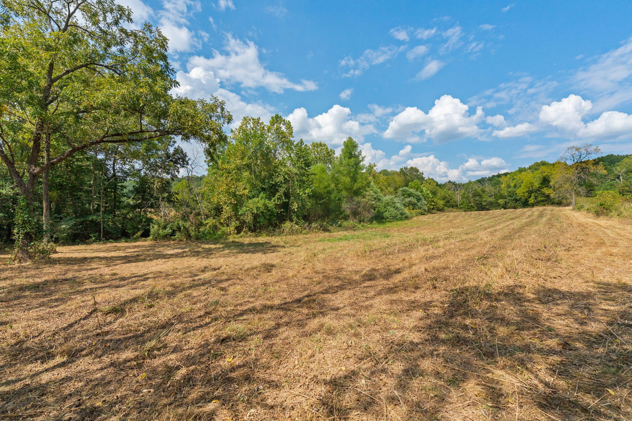 2890 Panther Creek Road Property Photo 79