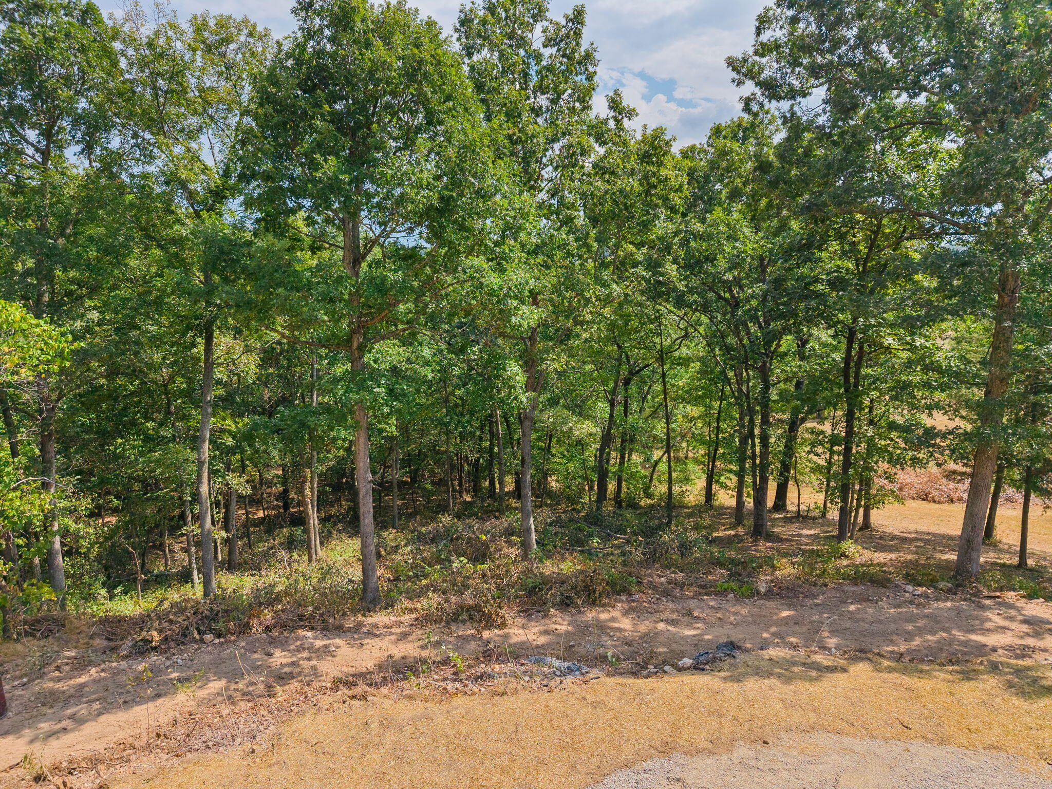 2890 Panther Creek Road Property Photo 75