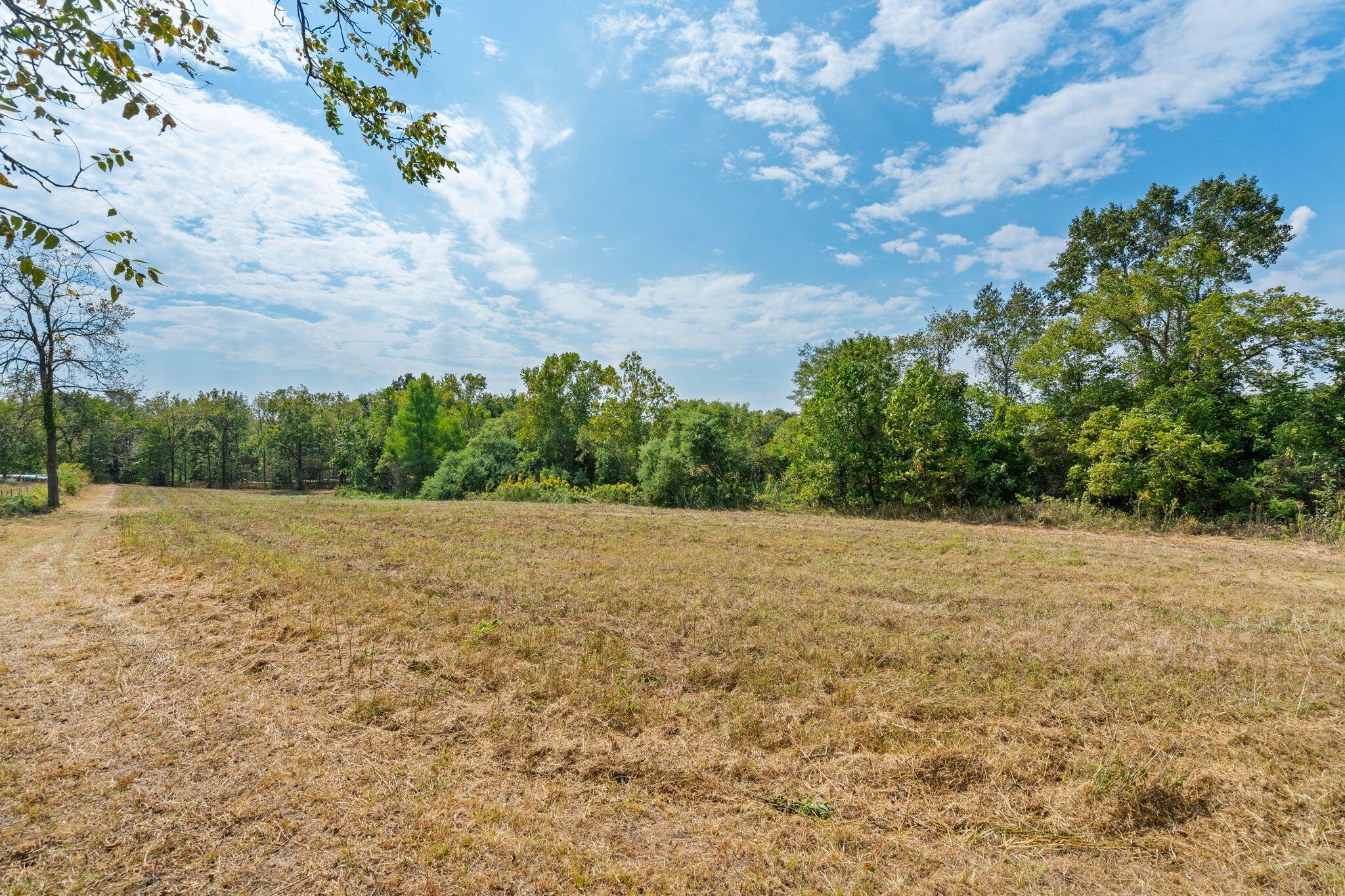 2890 Panther Creek Road Property Photo 78