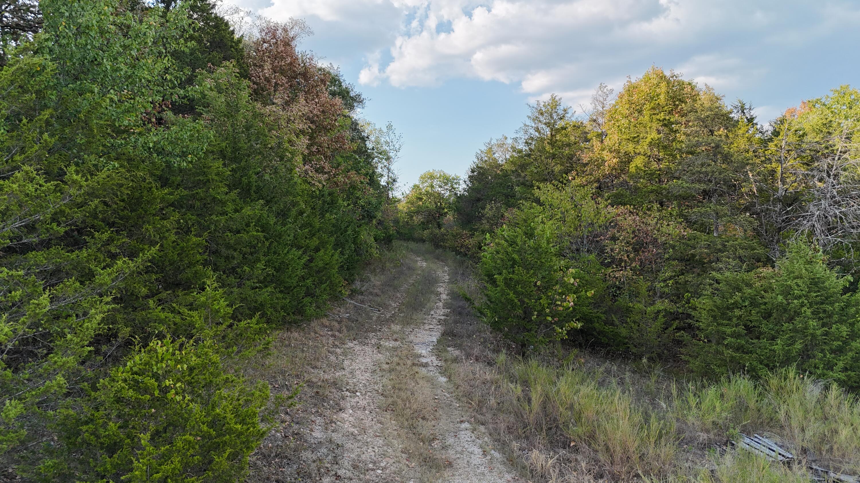 Tbd Deer Valley Drive Property Photo 3
