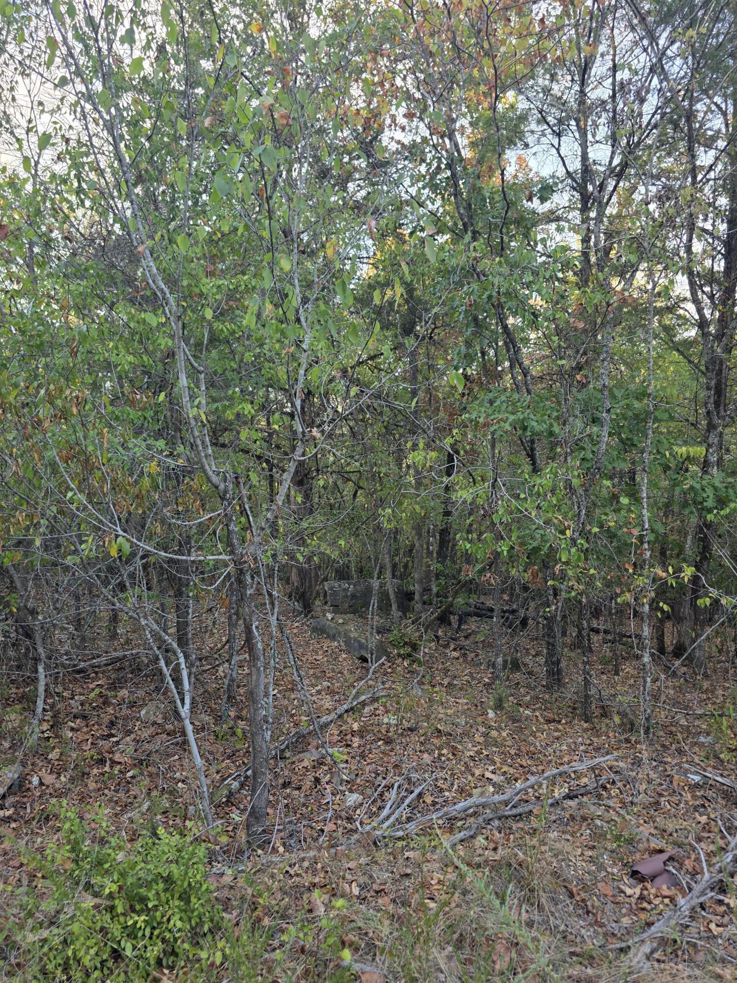 Tbd Deer Valley Drive Property Photo 8