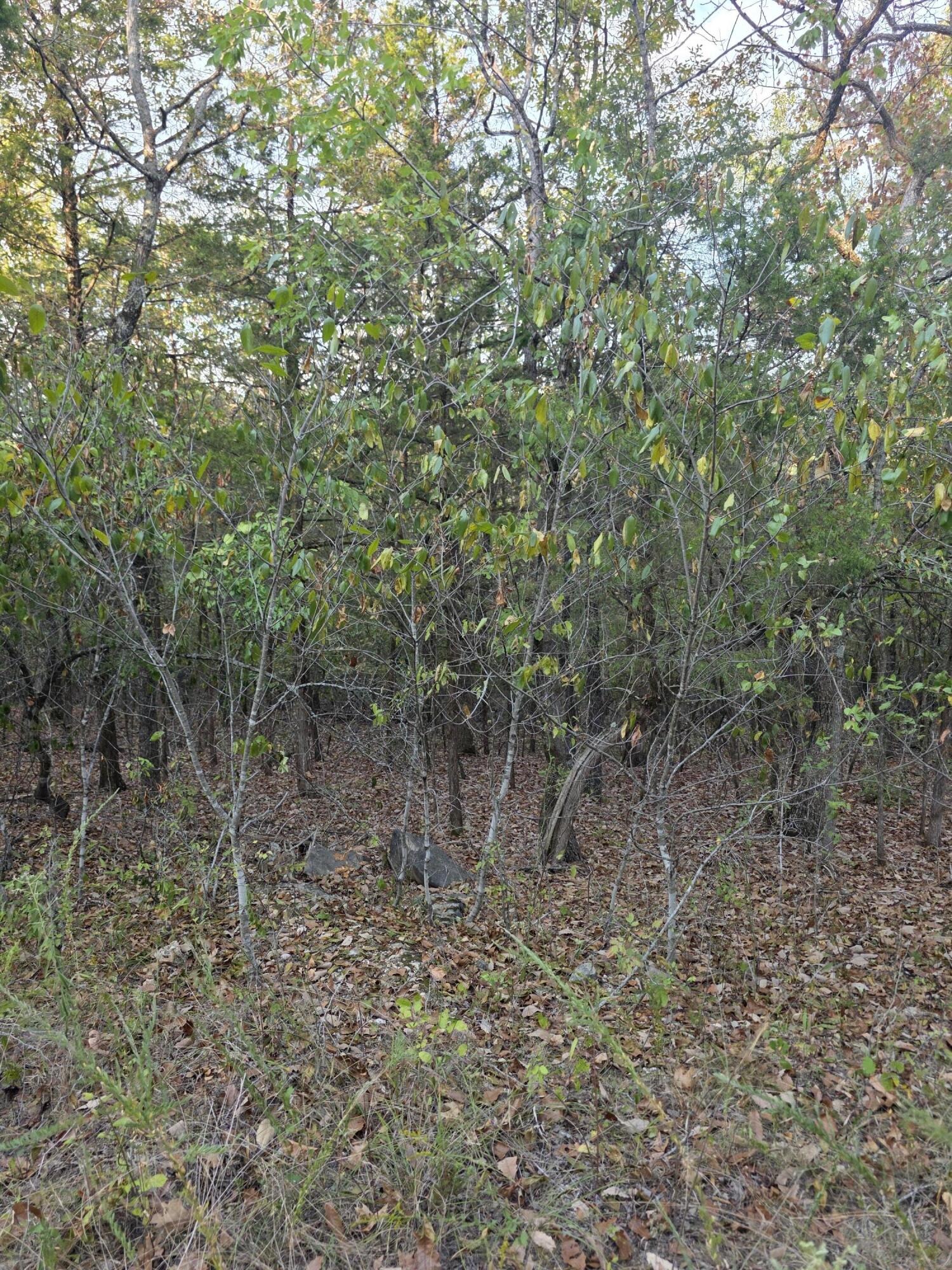 Tbd Deer Valley Drive Property Photo 21