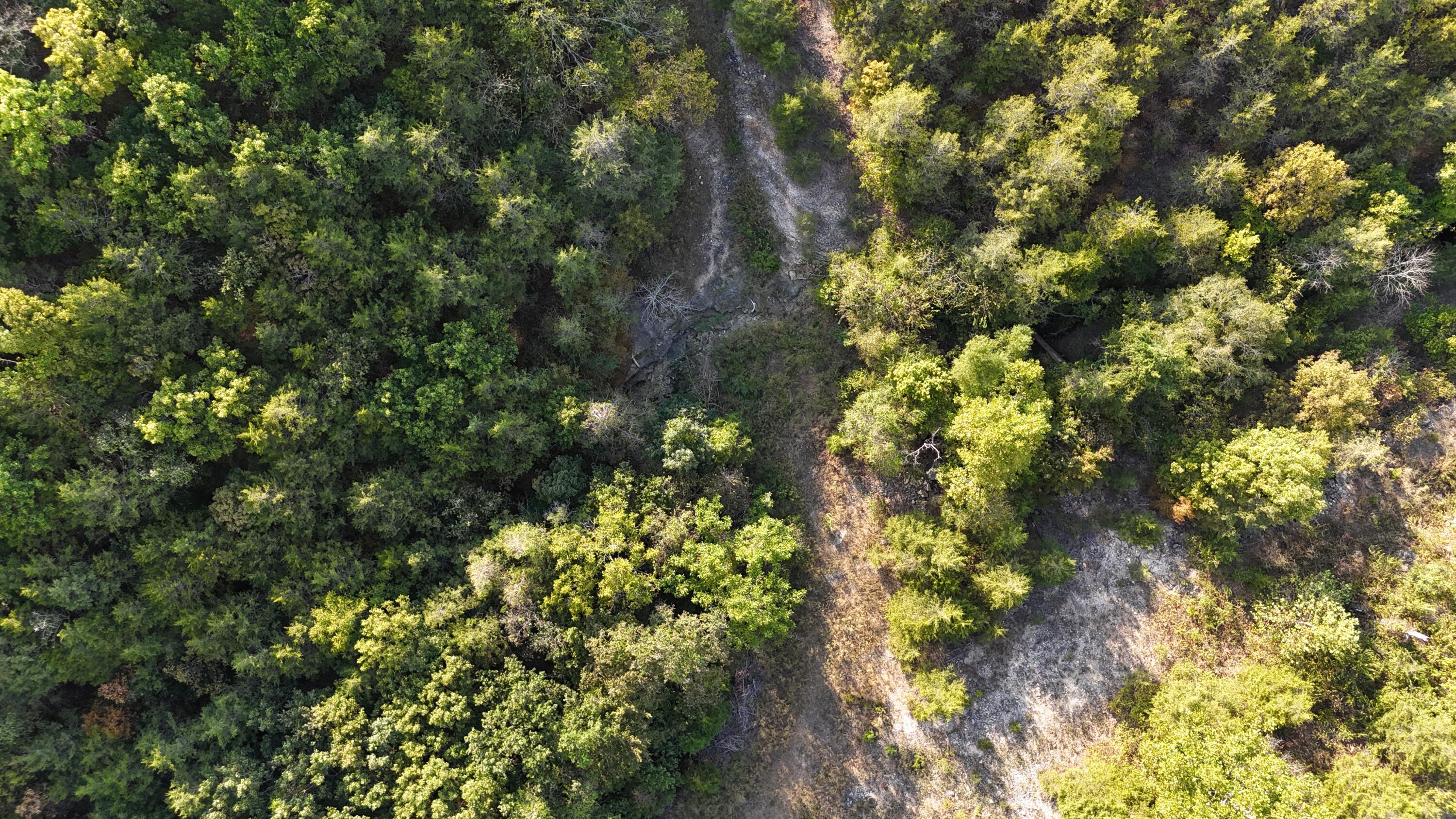 Tbd Deer Valley Drive Property Photo 27