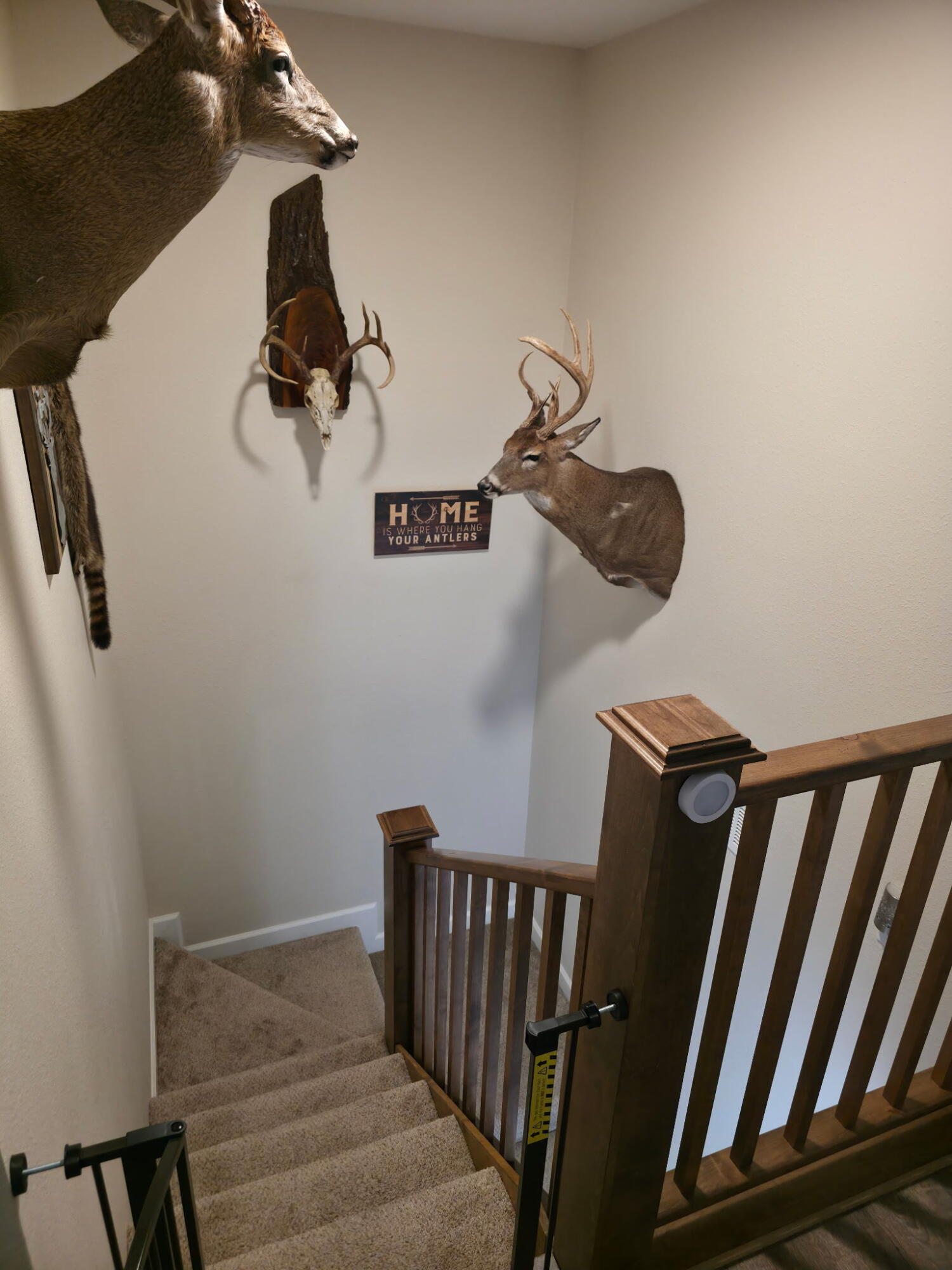 105 West Craig Street Property Photo 23
