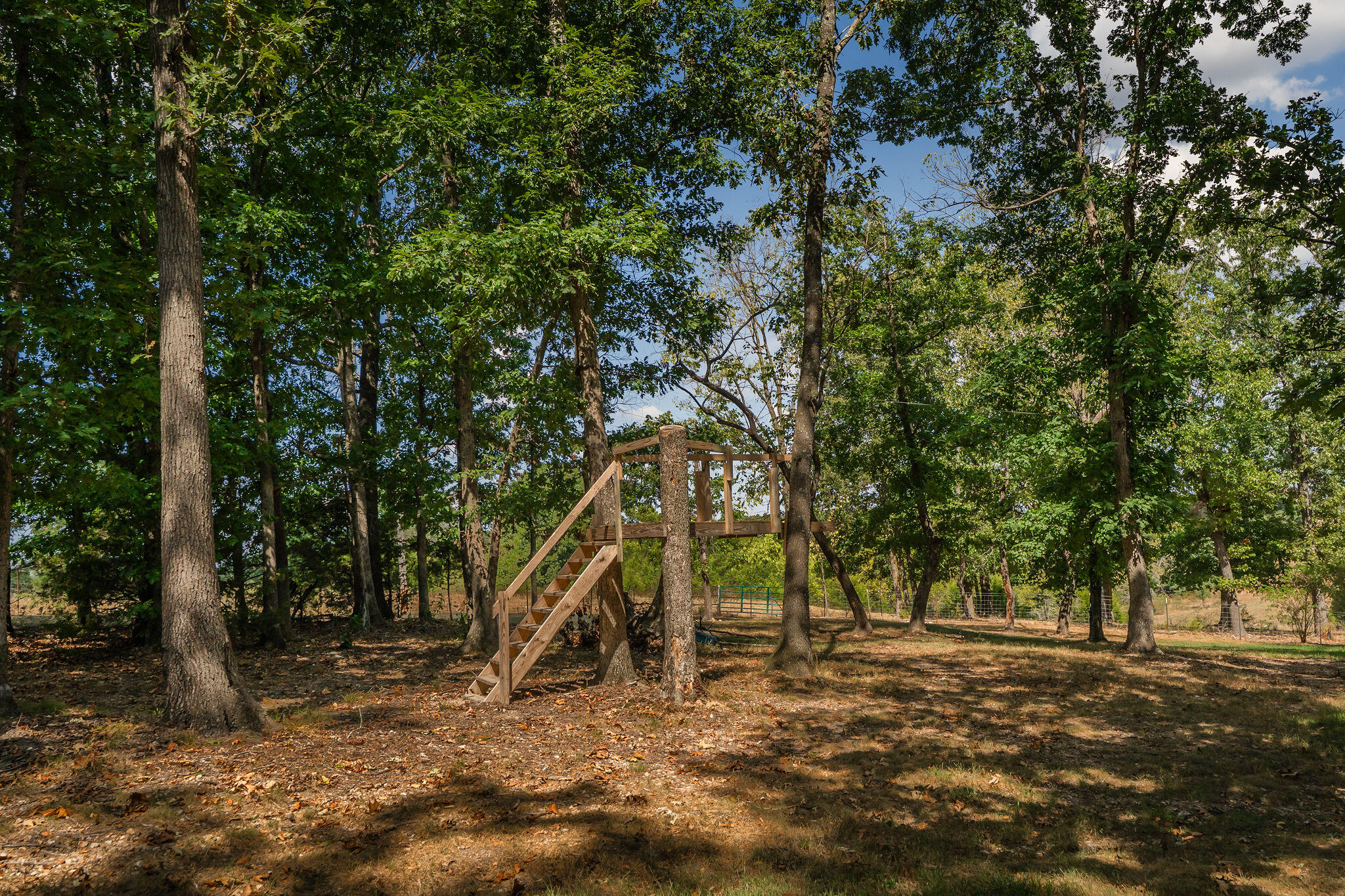 3361 State Highway V Property Photo 51