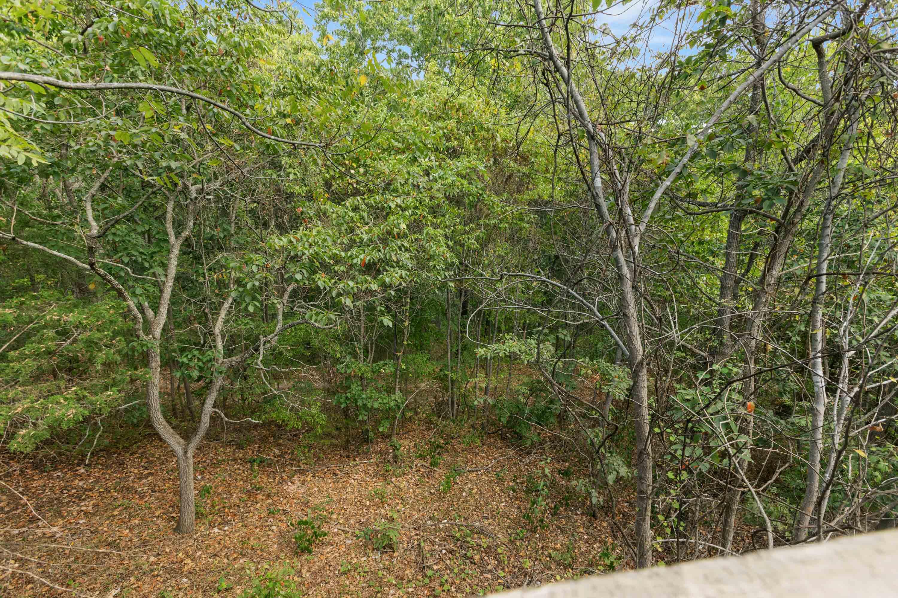 126 Sunny Lane Property Photo 19