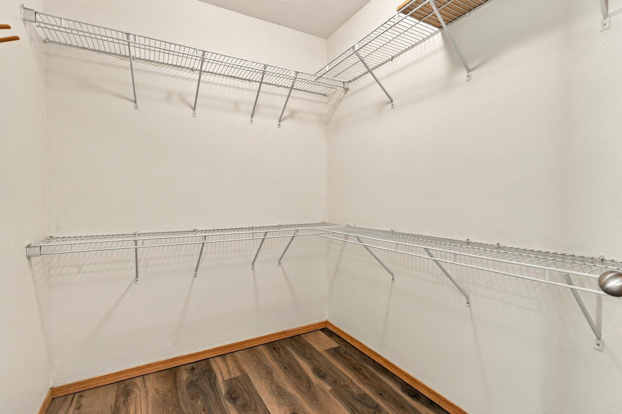 719 Becky Street Property Photo 18