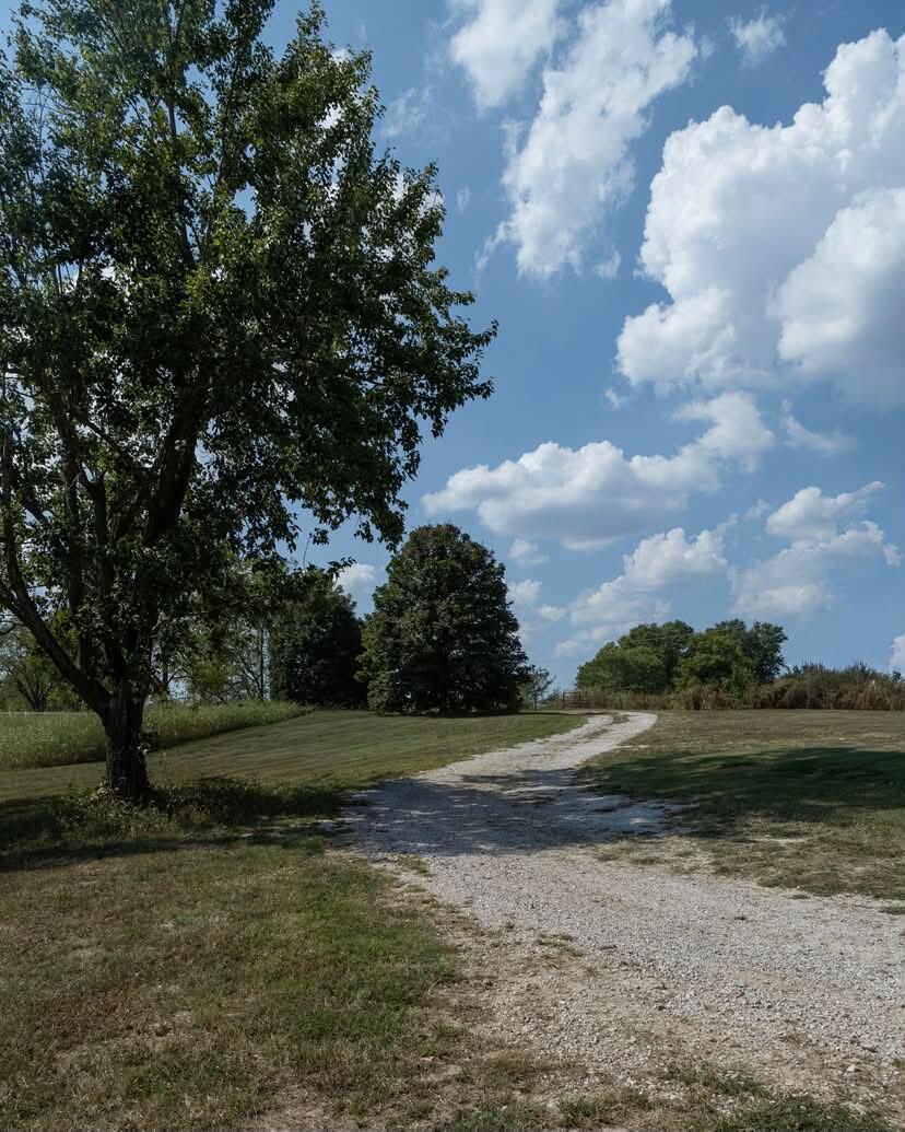 18355 State Highway 32 Property Photo 6