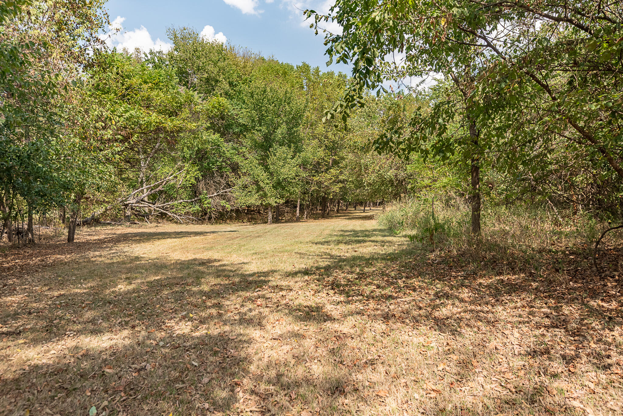 10421 West Farm Road 156 Property Photo 67