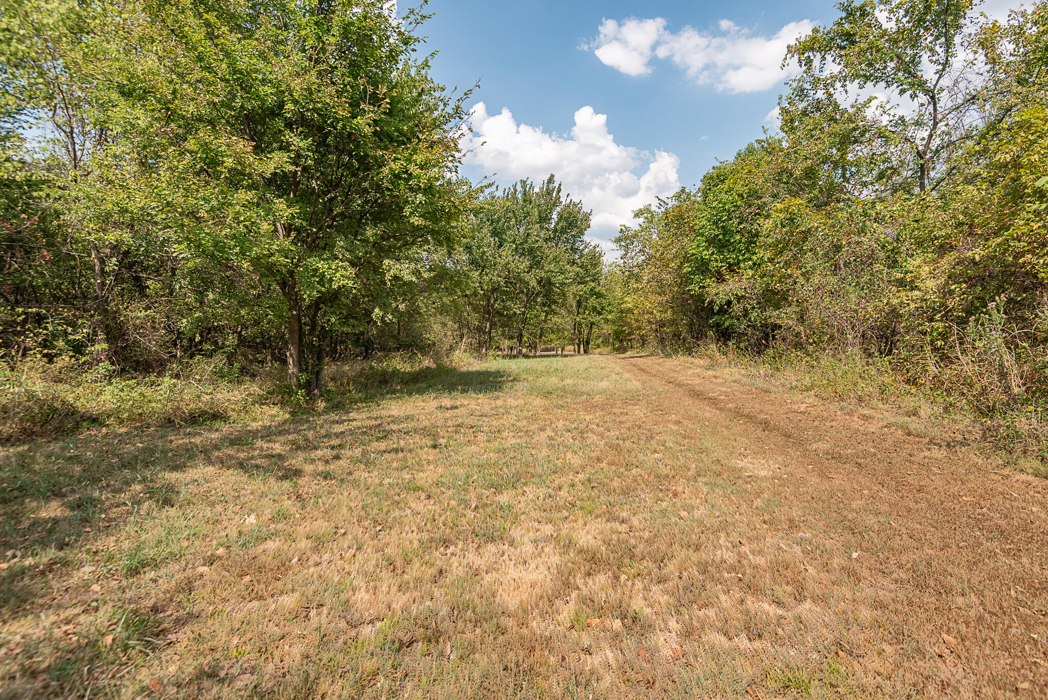 10421 West Farm Road 156 Property Photo 68