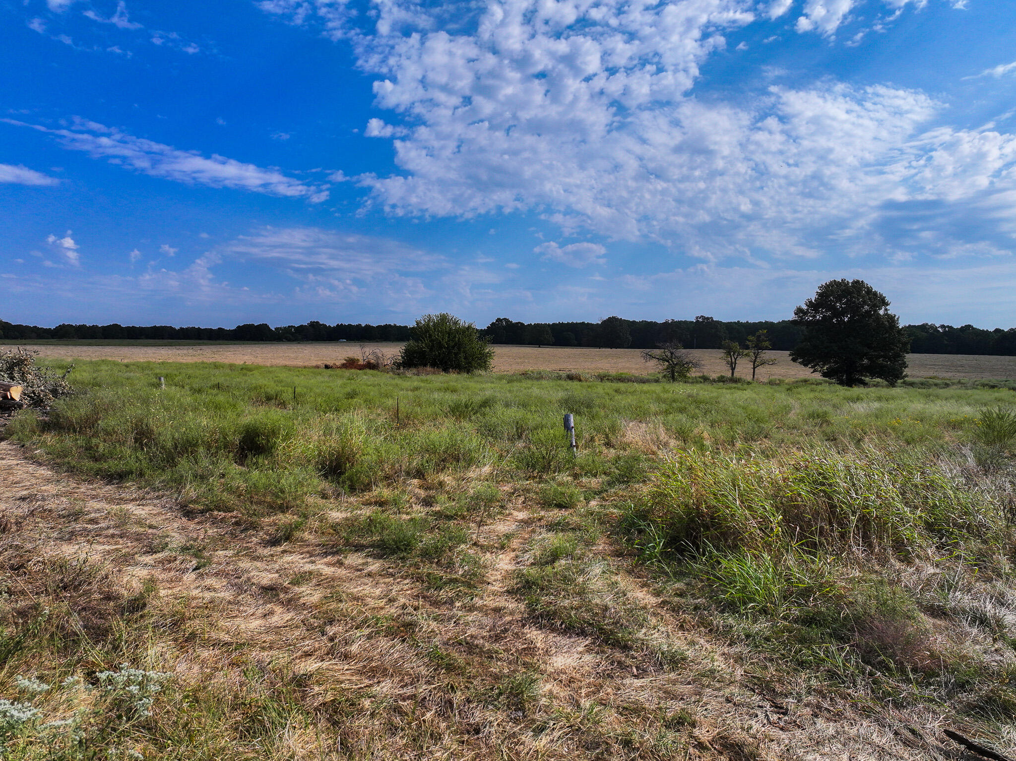 11795 State Highway Tt Property Photo 39