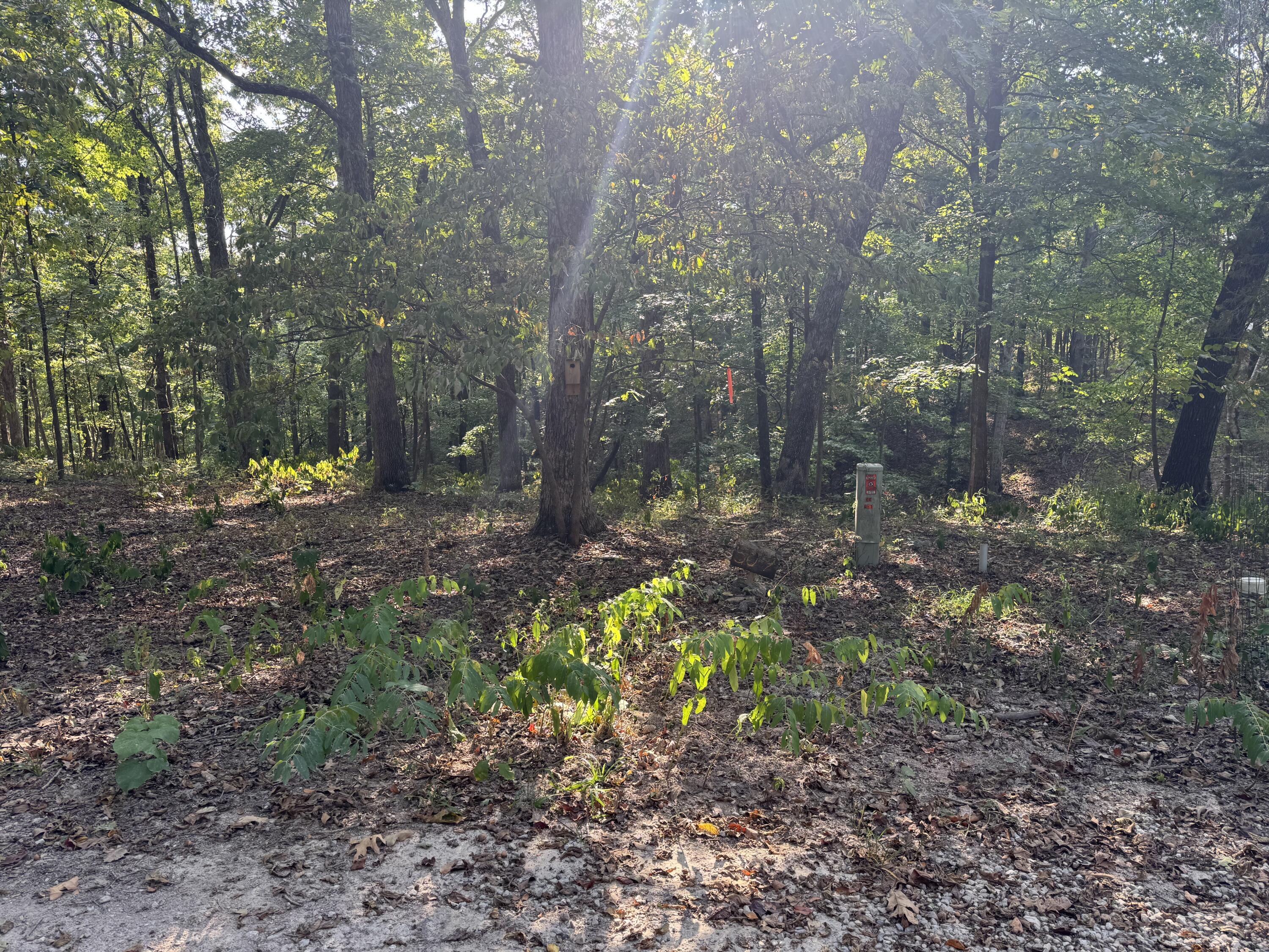 Xxxx Coyote Ridge Road Lot 50 Property Photo 2