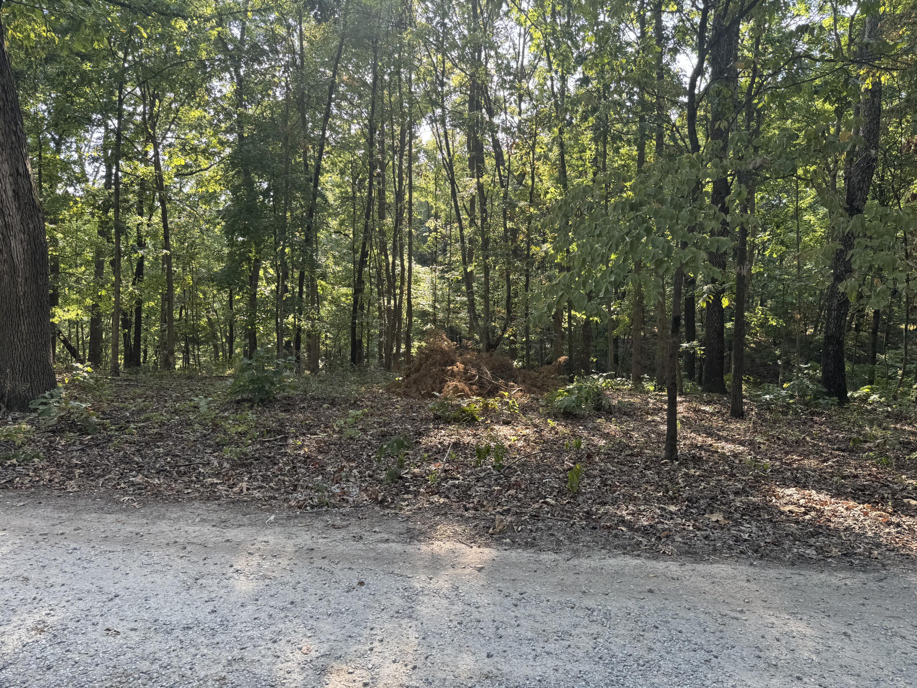 Xxxx Coyote Ridge Road Lot 50 Property Photo 3