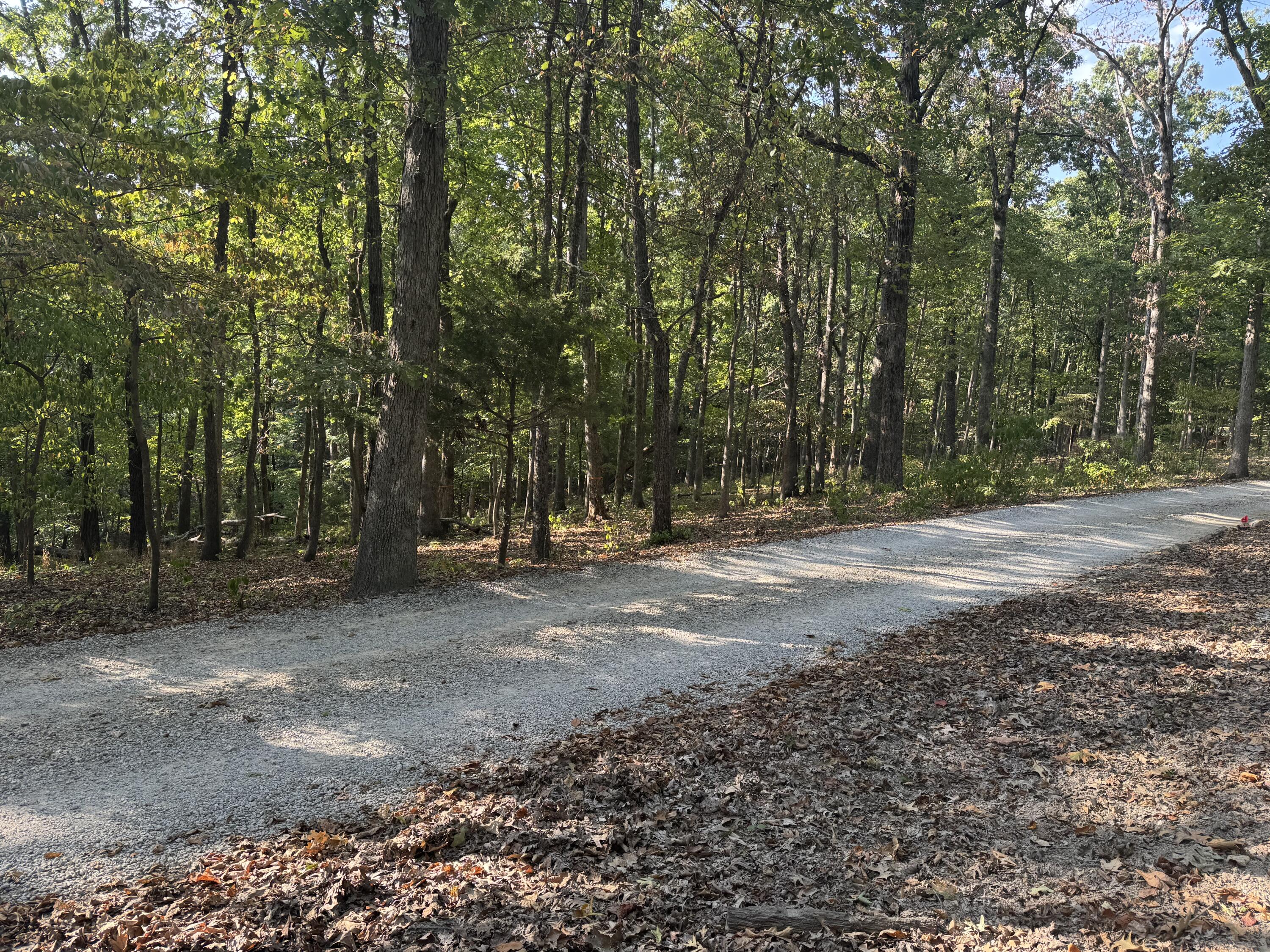Xxxx Coyote Ridge Road Lot 50 Property Photo 4