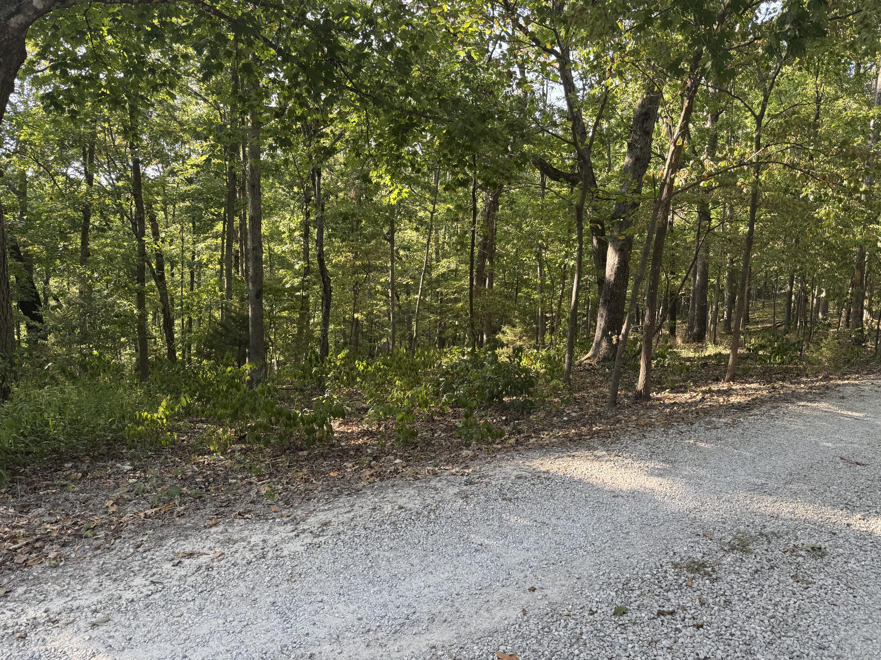 Xxxx Coyote Ridge Road Lot 50 Property Photo 6