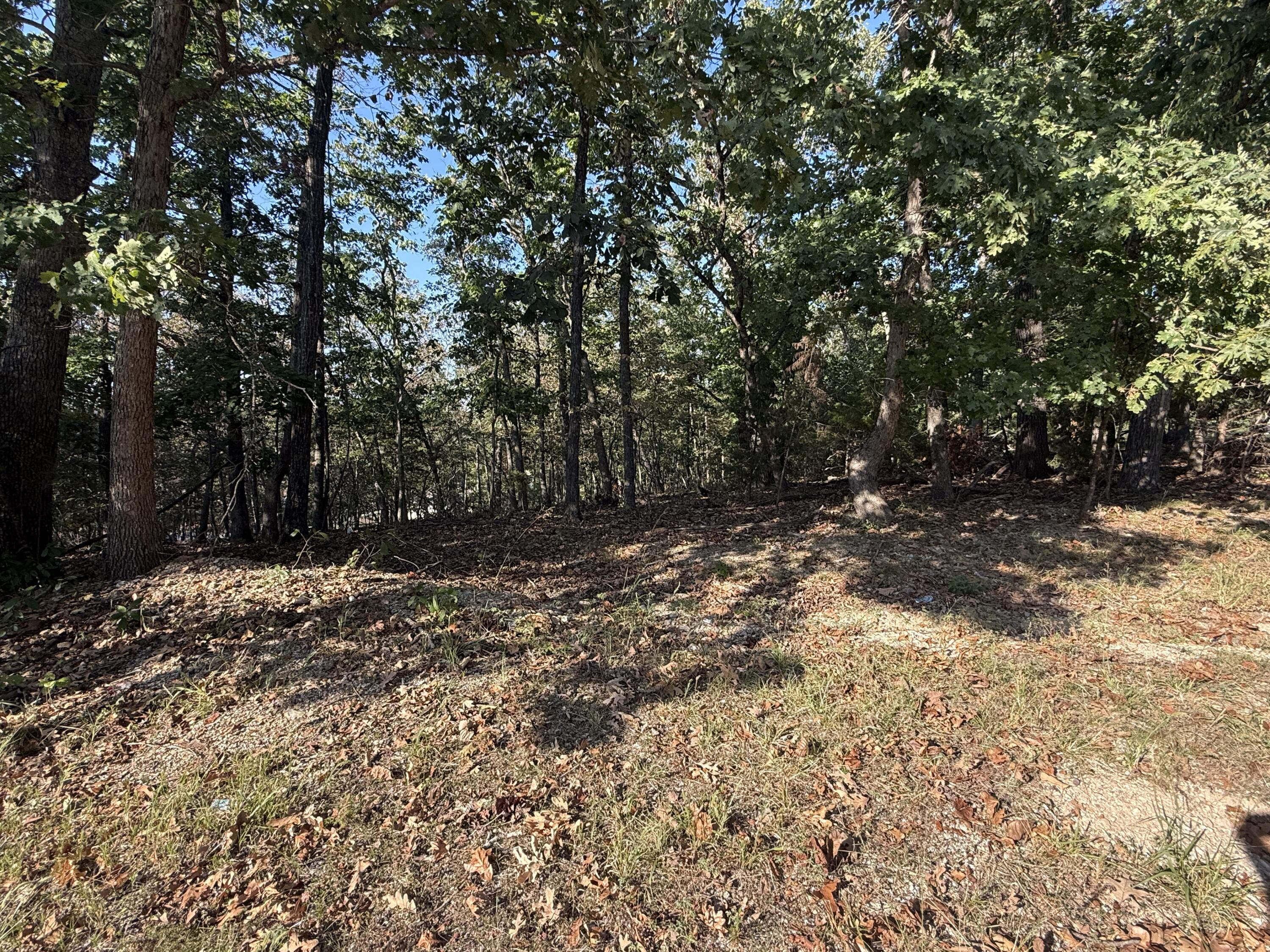7 Columbine Road Property Photo 1