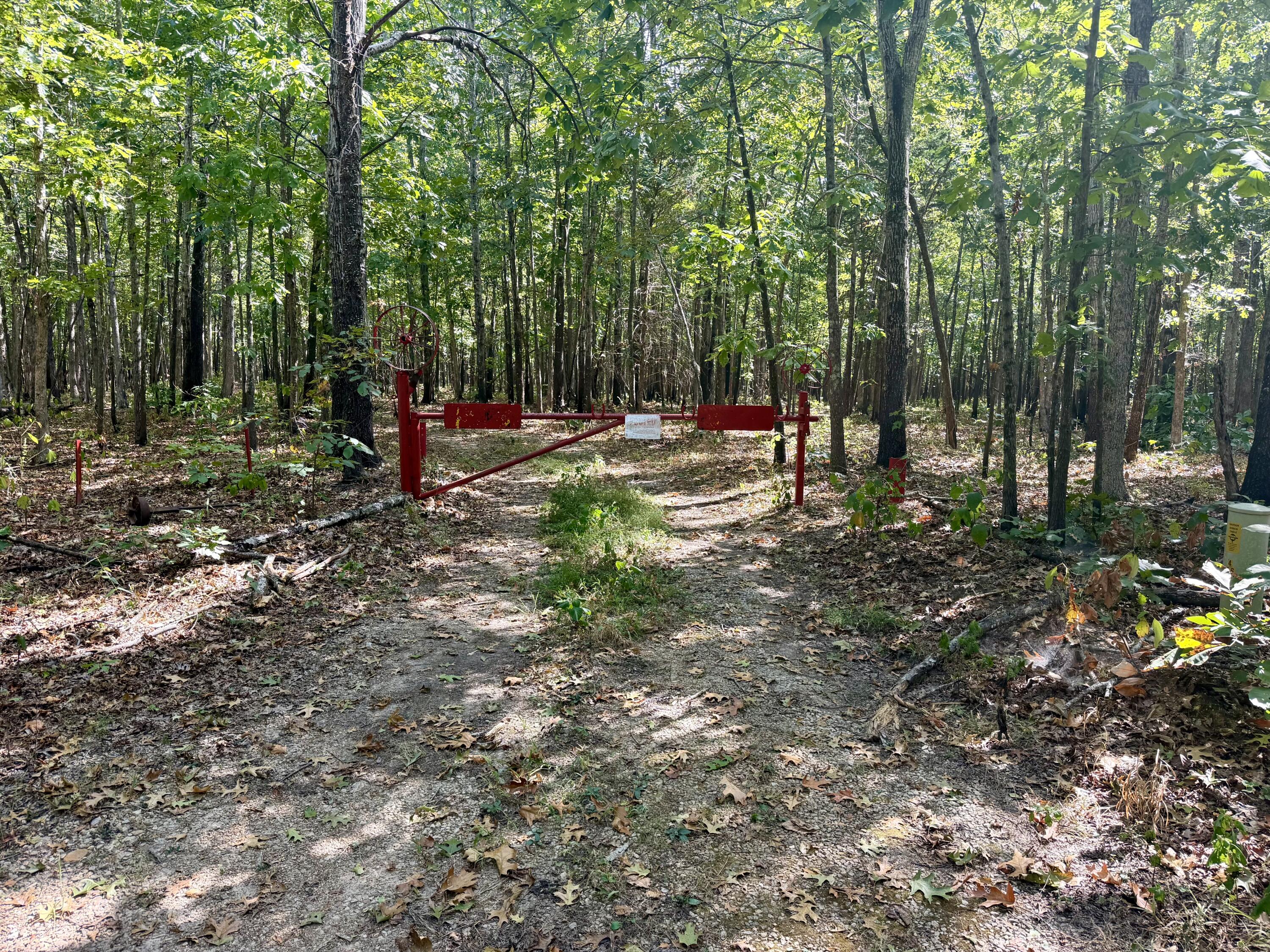 196 Forest Rd 9673 Property Photo 1
