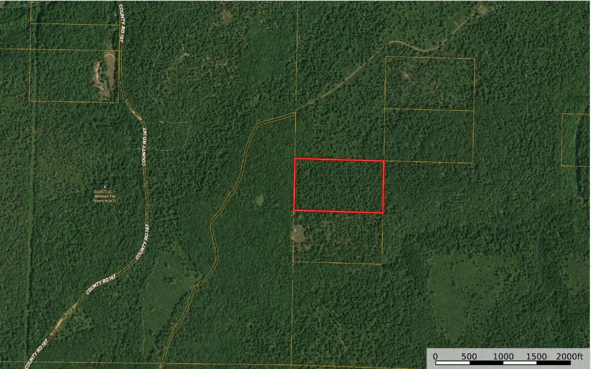 196 Forest Rd 9673 Property Photo 3