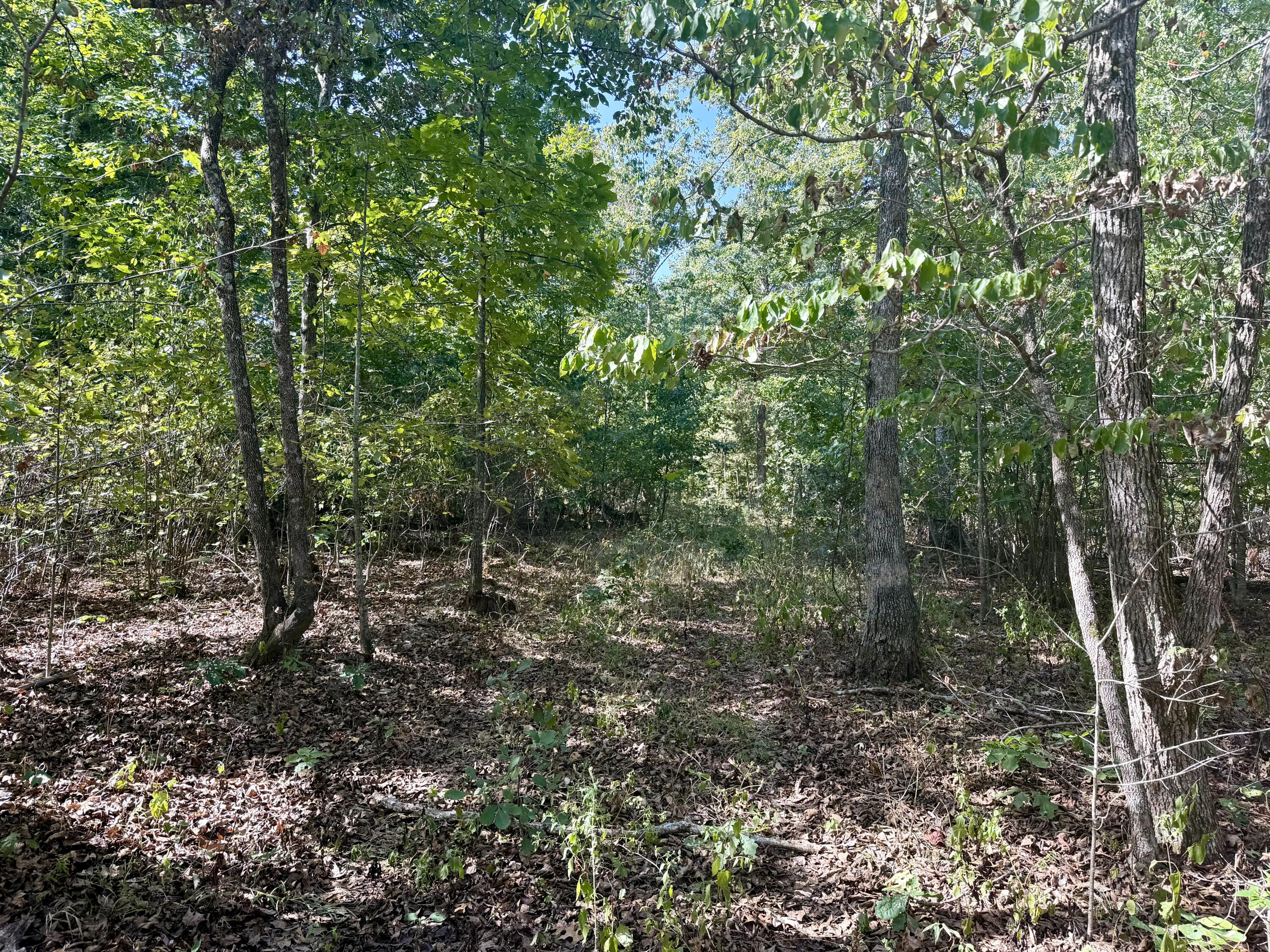 196 Forest Rd 9673 Property Photo 4