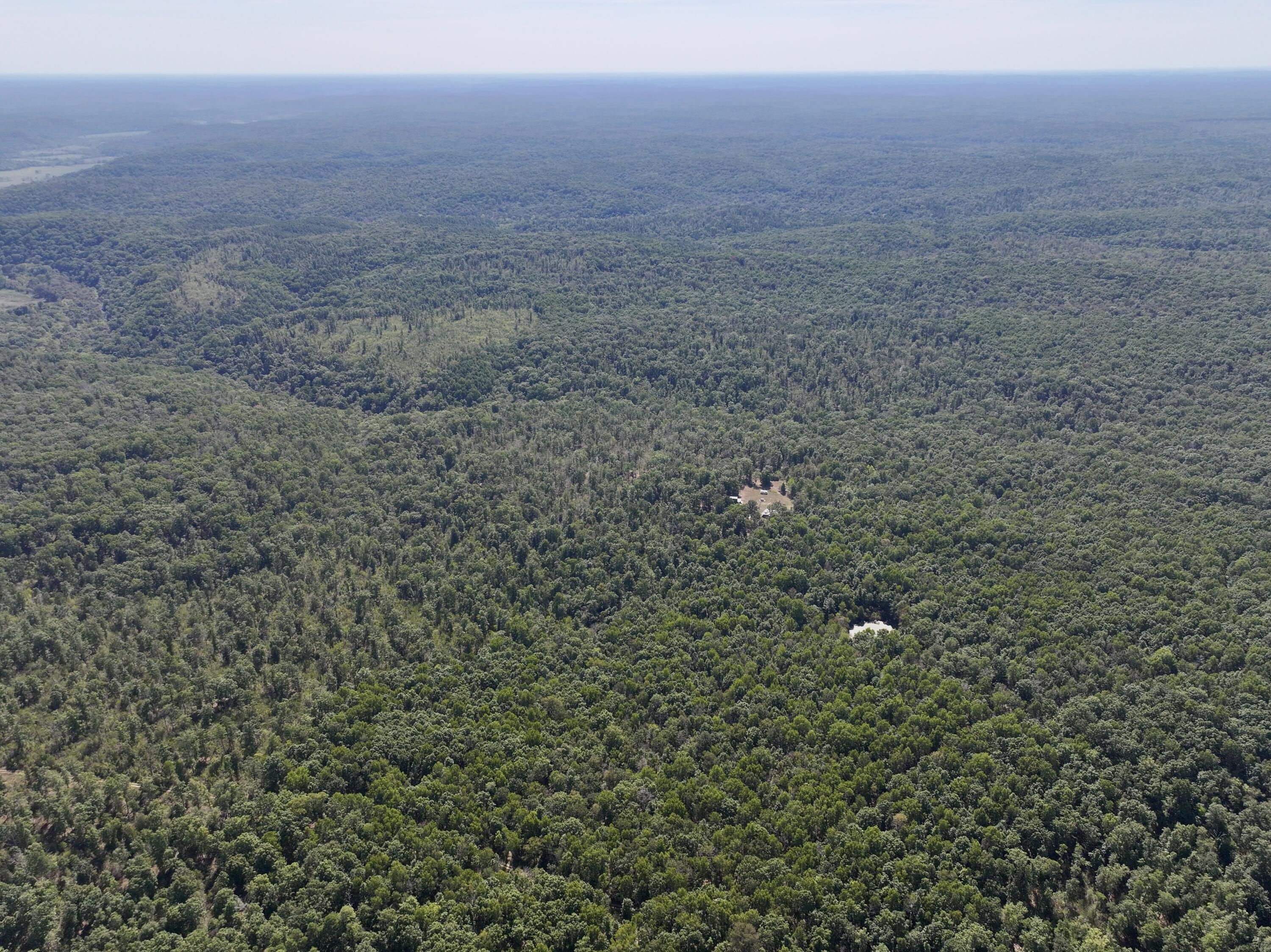 196 Forest Rd 9673 Property Photo 6