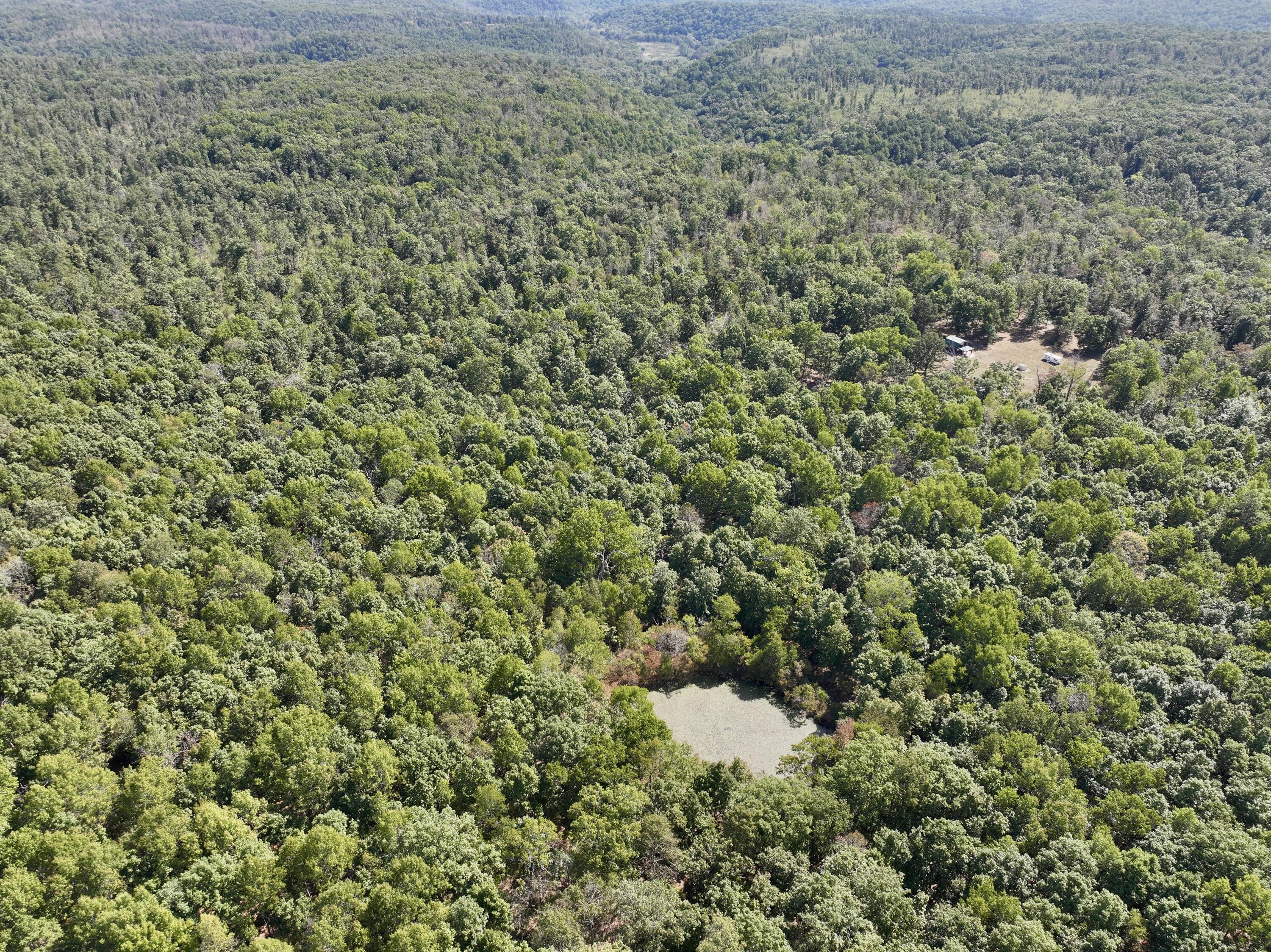 196 Forest Rd 9673 Property Photo 8