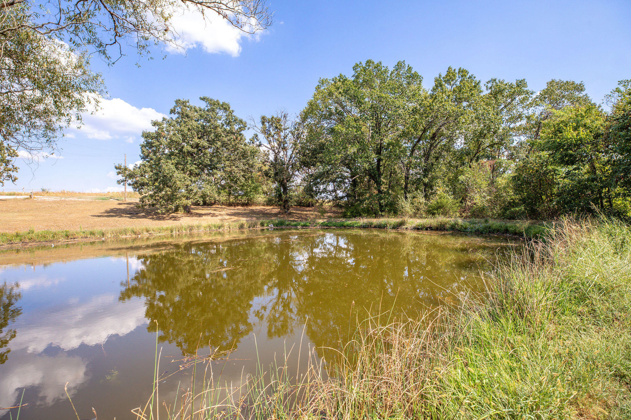 25323 Farm Road 1242 Property Photo 5