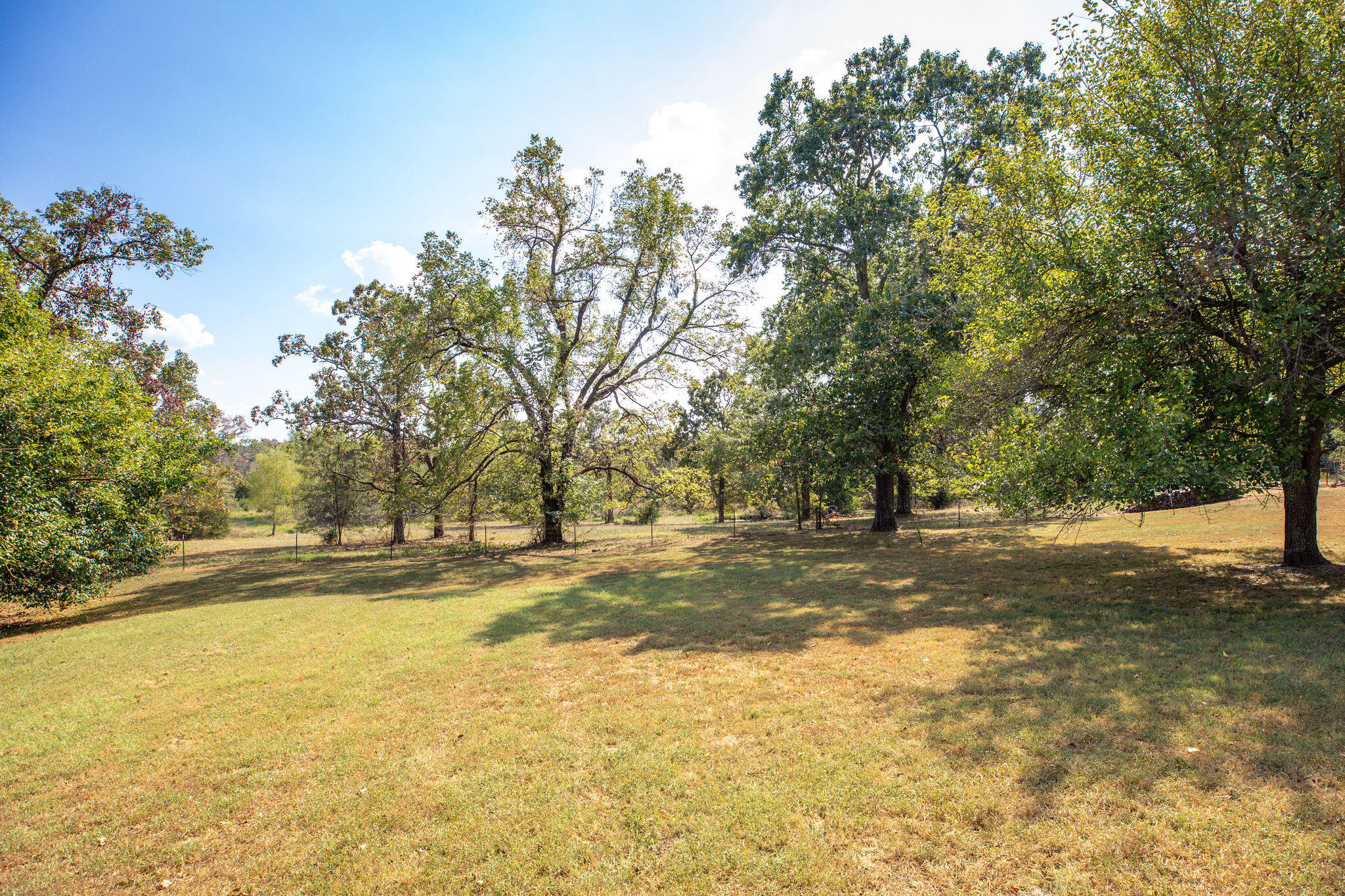 25323 Farm Road 1242 Property Photo 35